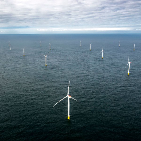 A view of the Race Bank wind farm off the English coast.