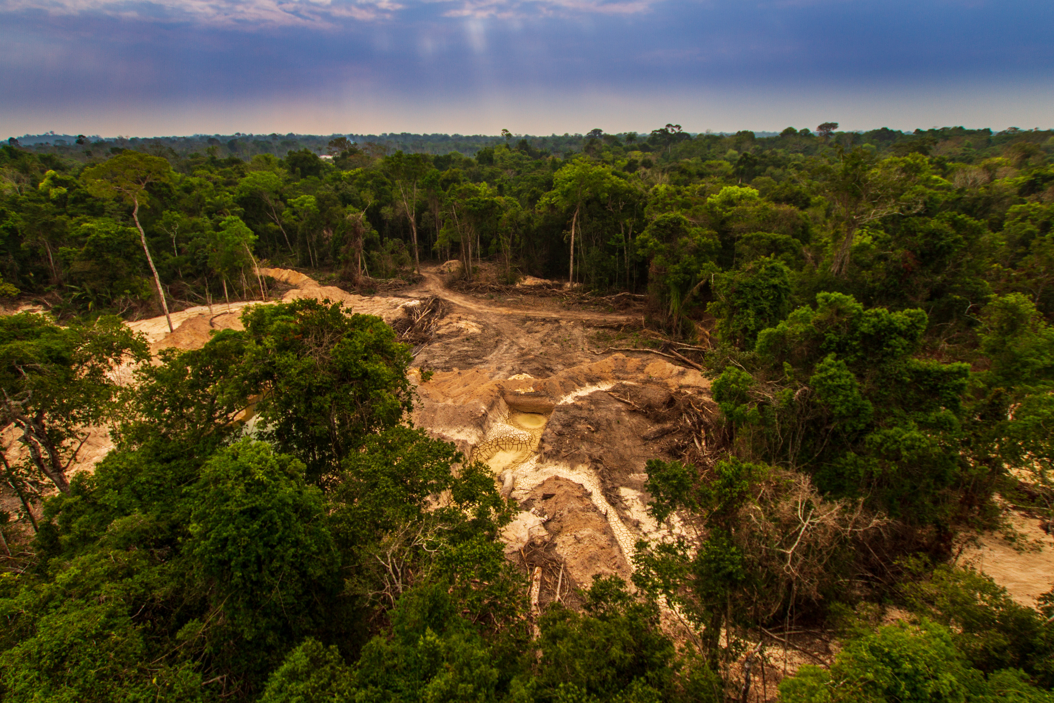 Illegal mining causes deforestation and river pollution in the Amazon rainforest near Menkragnoti Indigenous Land in Pará, Brazil. (Getty Images/iStockphoto&mdash;Marcio Isensee e Sá)