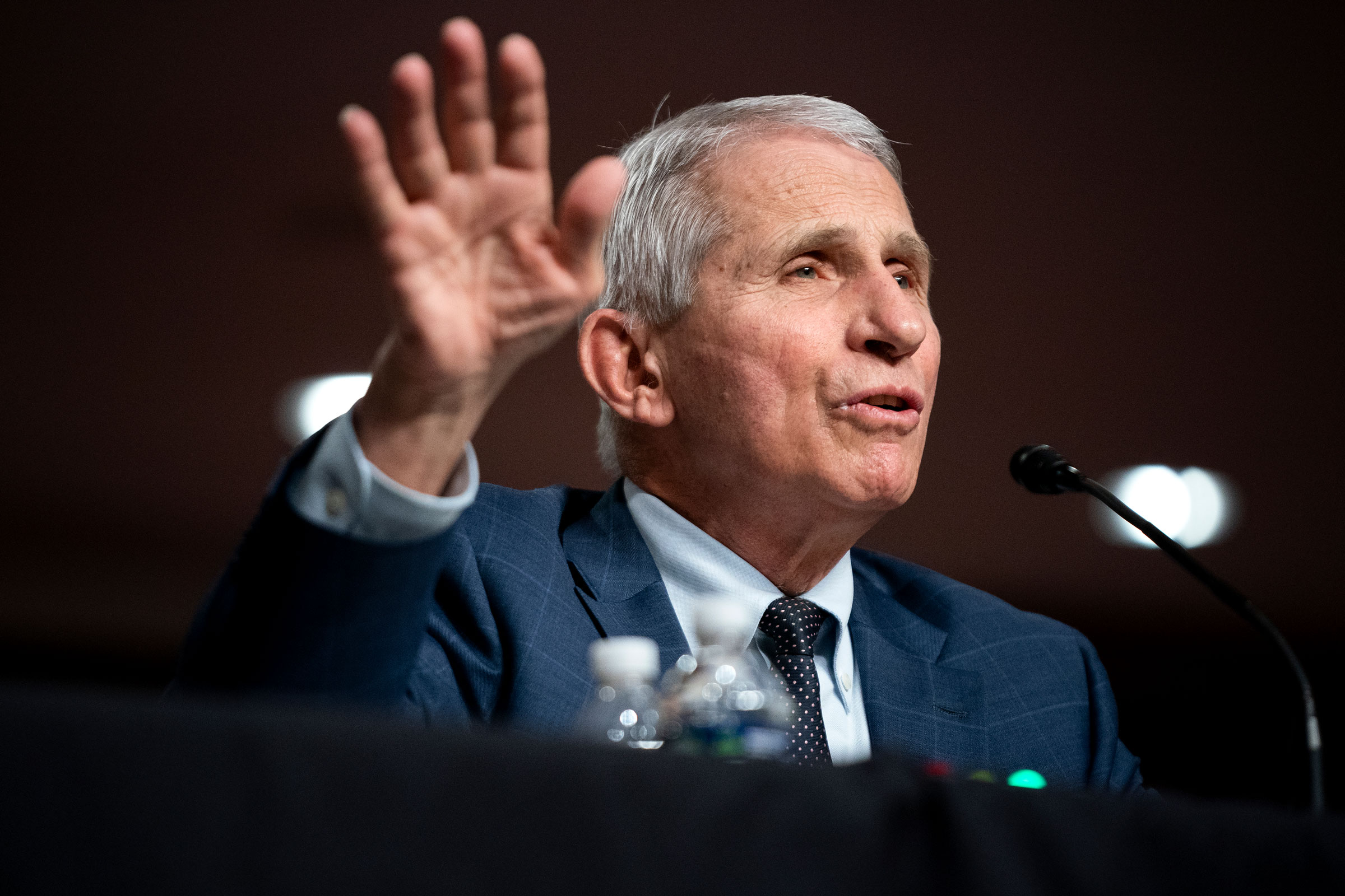 Anthony Fauci testifies at a Senate committee hearing
