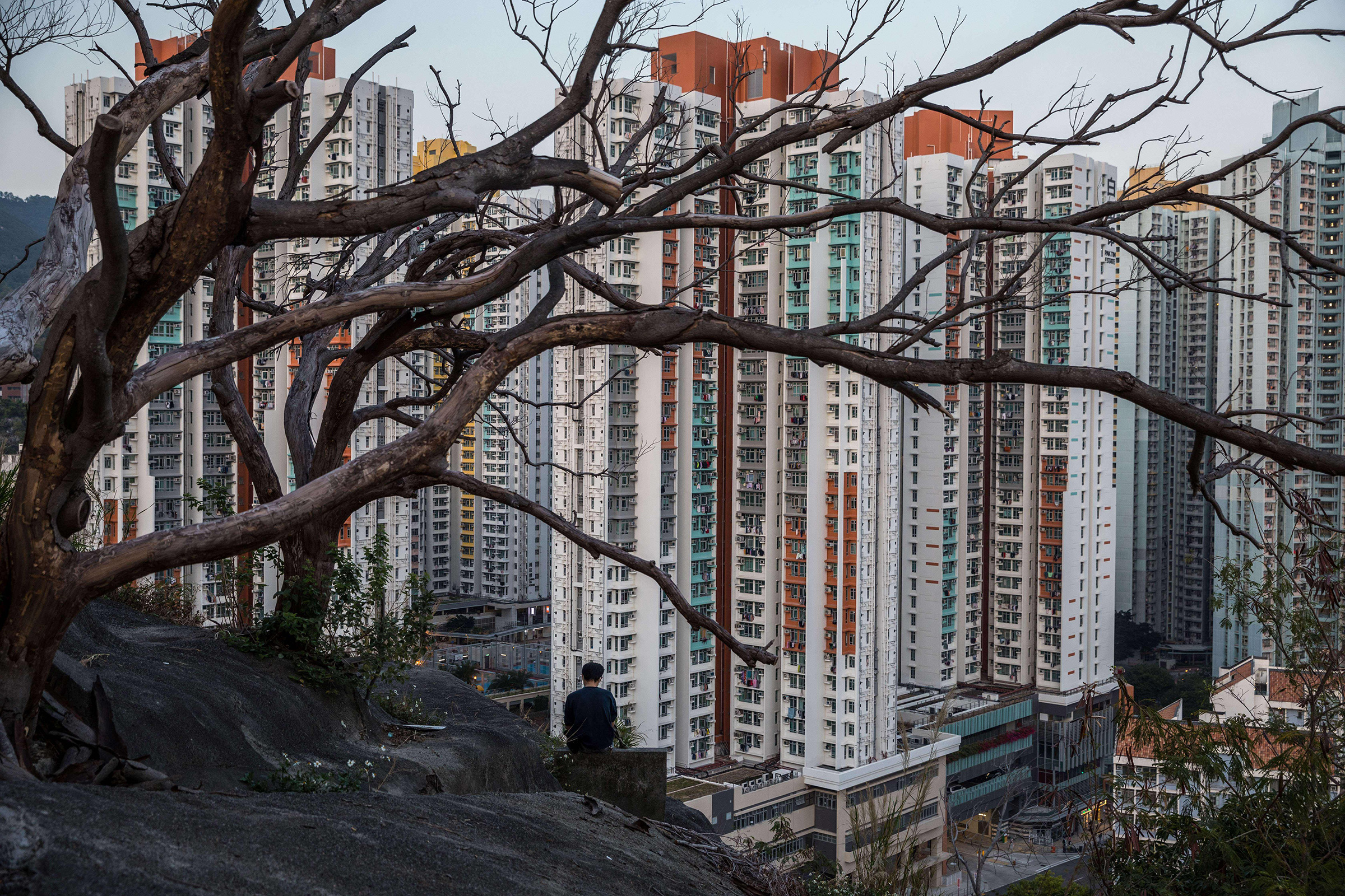 A man sits on a hill overlooking a residential estate in Hong Kong on March 4. COVID-19 has spread rapidly in the city's densely populated urban environment (Dale de la Rey—AFP/Getty Images)