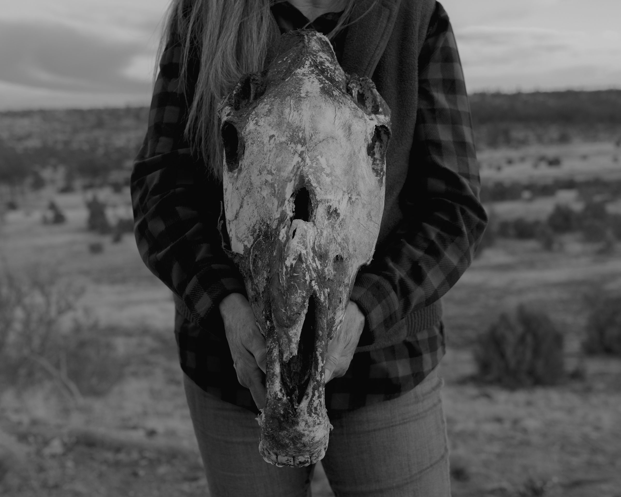 The skull of a mare, that was part of a band led by a black stallion known as Midnight, shows a bullet hole directly in the middle of its head (Bryan Schutmaat for TIME)