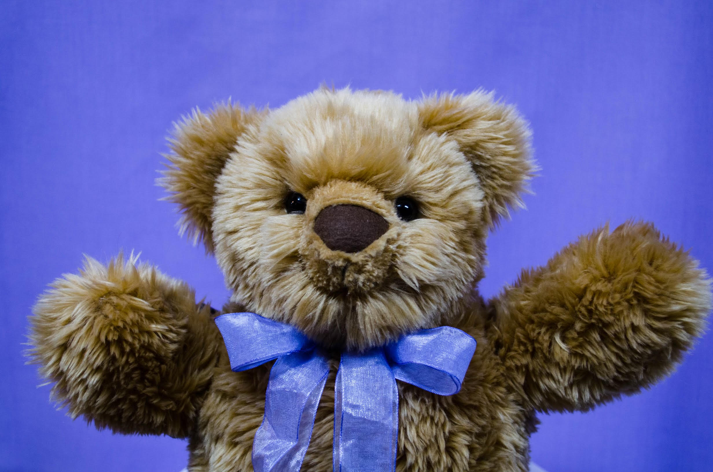 The Worlds Best Health Visitor Teddy Bear 