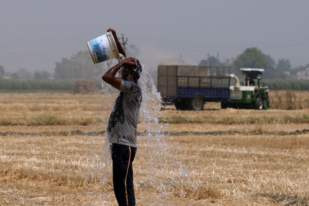 A farmer tries to cool off at a wheat farm amid a blistering heatwave in the Ludhiana district of Punjab, India, on May 1, 2022. (T. Narayan/Bloomberg via Getty Images)
