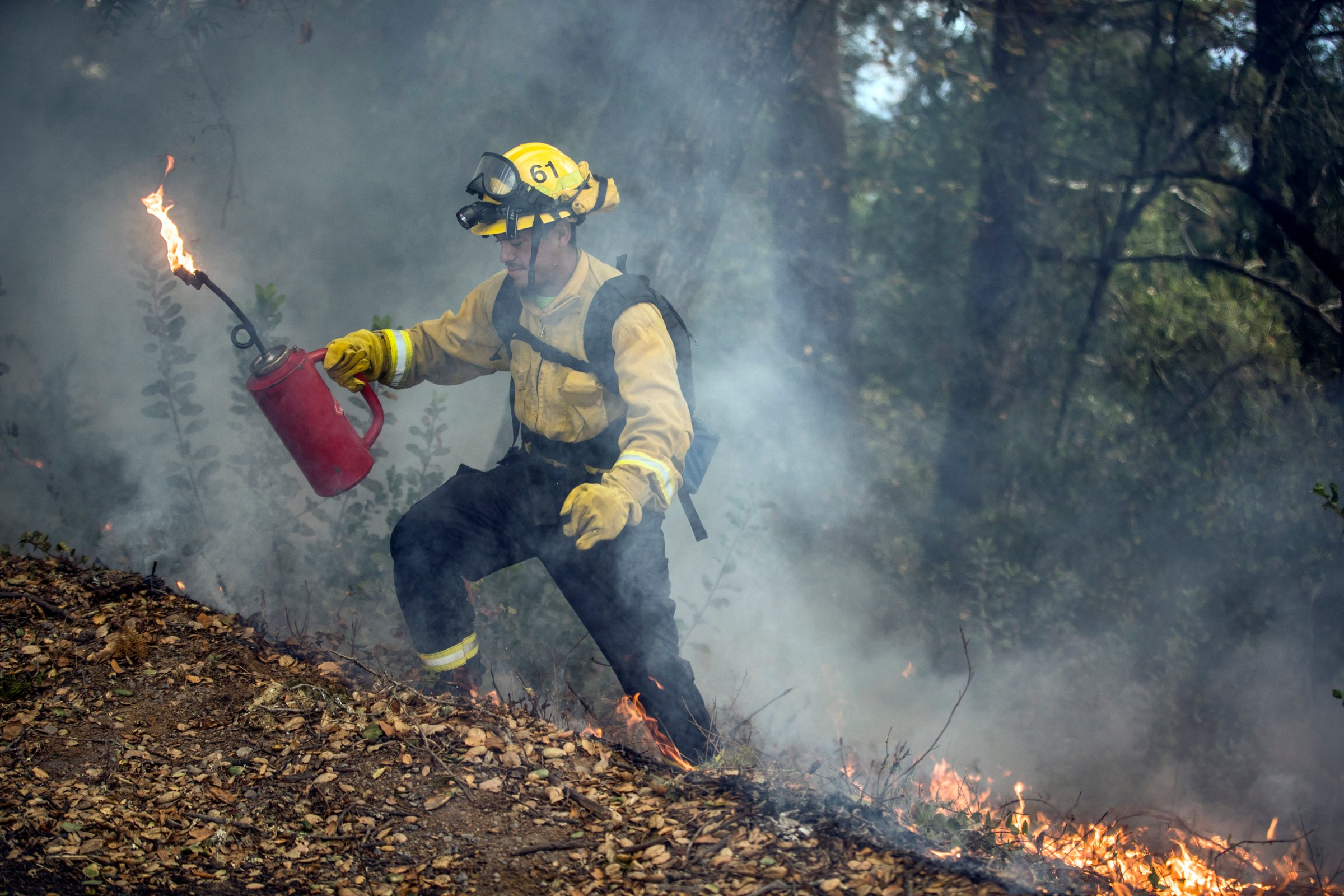 A firefighter ignites piled leaves and brush during a prescribed burn in Healdsburg, Calif., in Nov. 2020.