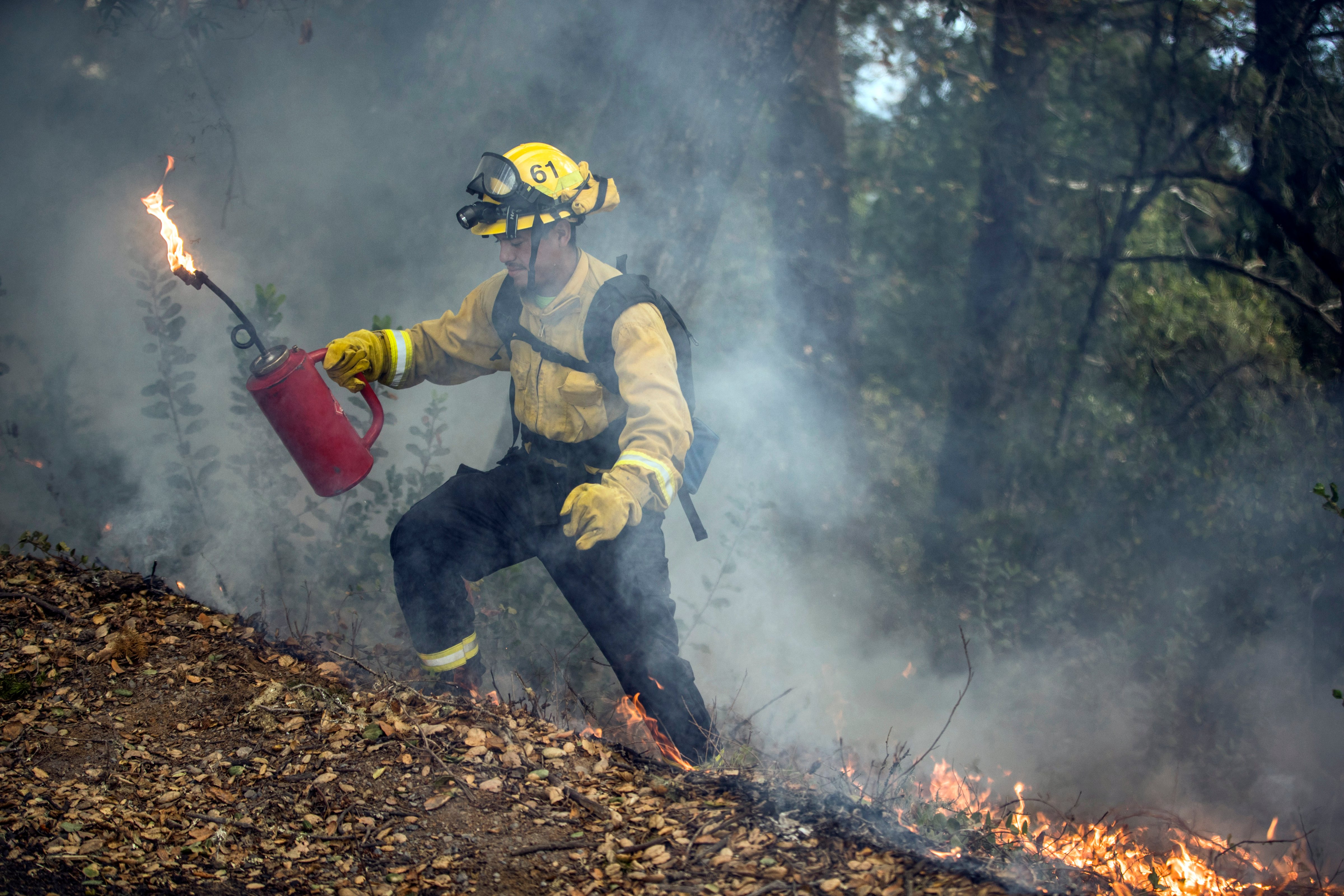 A firefighter ignites piled leaves and brush during a prescribed burn in Healdsburg, Calif., in Nov. 2020. (Carlos Avila Gonzalez—The San Francisco Chronicle/Getty Images)