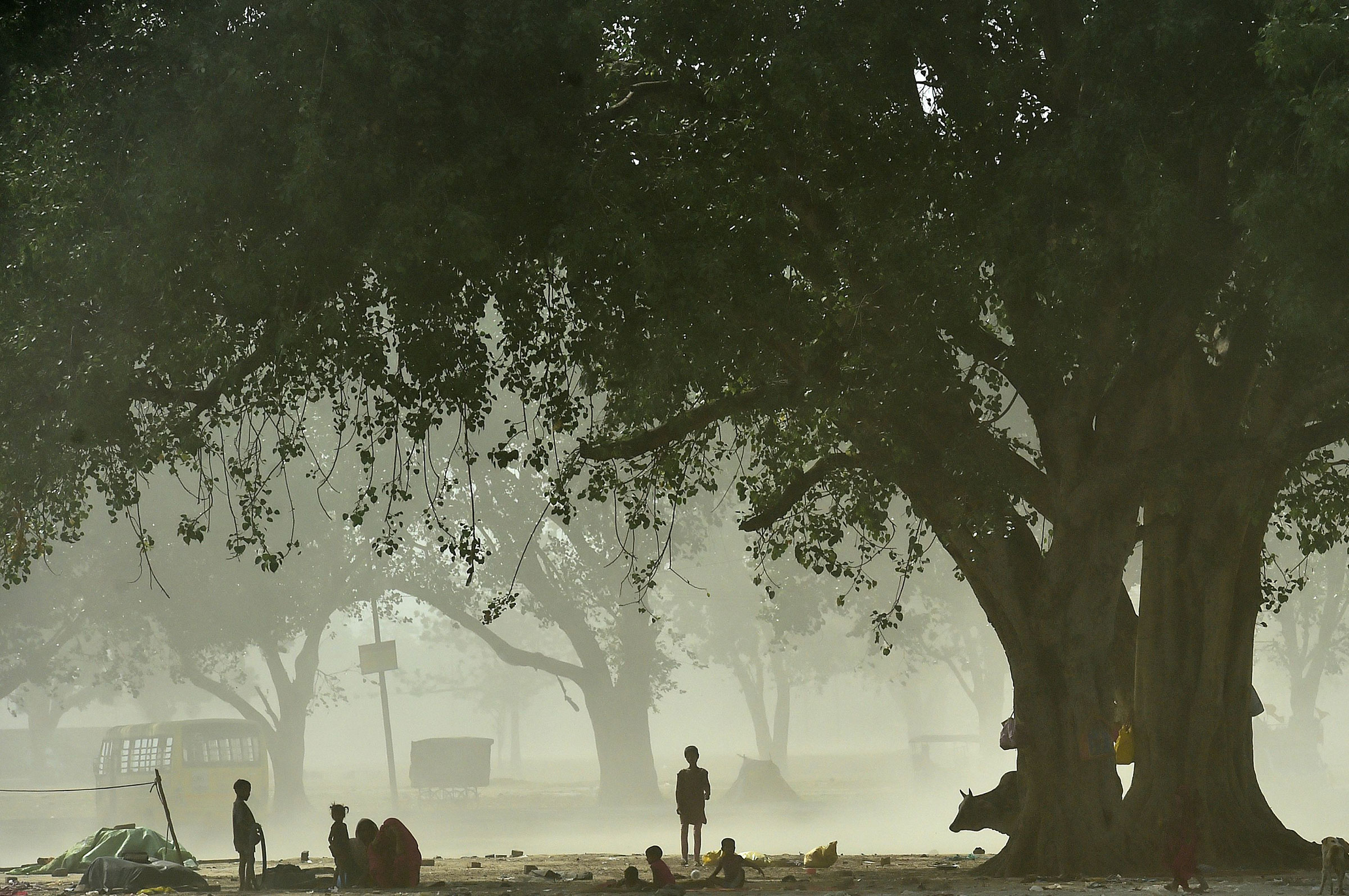 Homeless people rest under a tree on a hot summer afternoon during a dust-storm in Allahabad on May 13, 2022. (Sanjay Kanojia—AFP/Getty Images)
