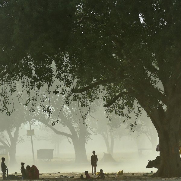 Homeless people rest under a tree on a hot summer afternoon during a dust-storm in Allahabad on May 13, 2022.