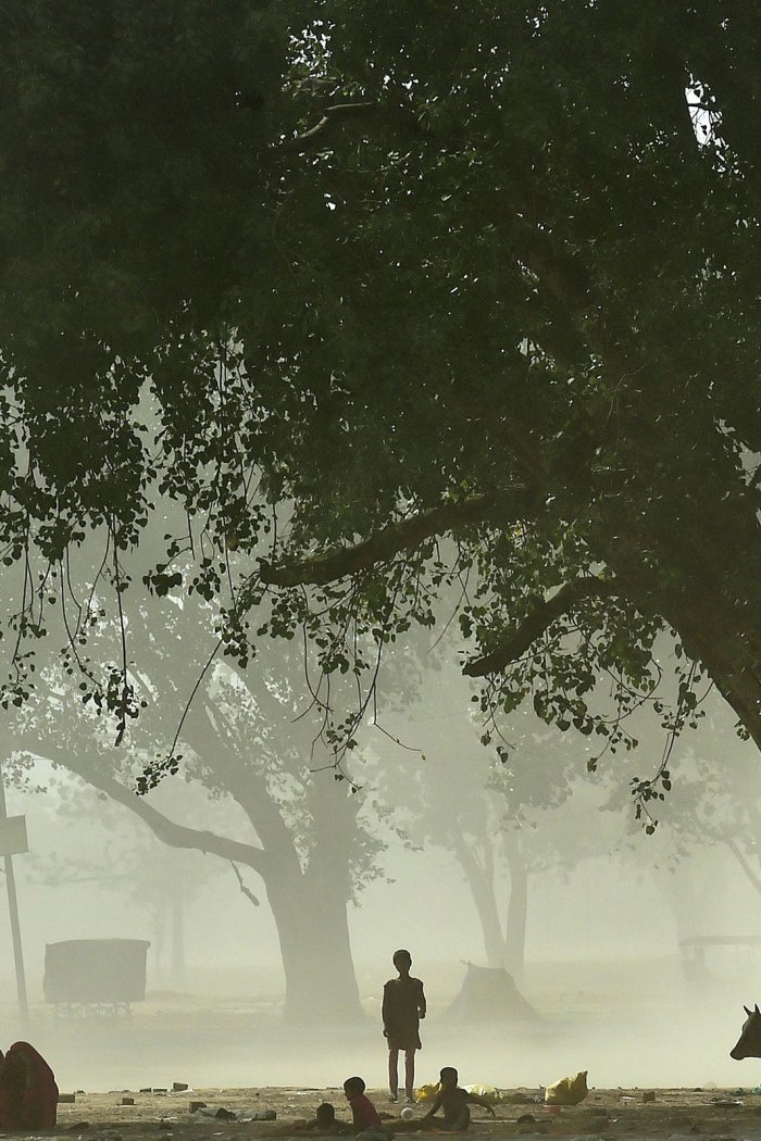 Homeless people rest under a tree on a hot summer afternoon during a dust-storm in Allahabad on May 13, 2022.