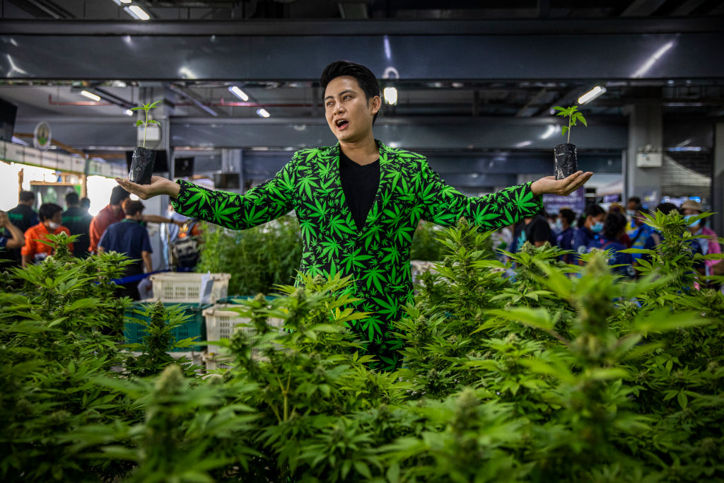 Thailand Legalizes Marijuana