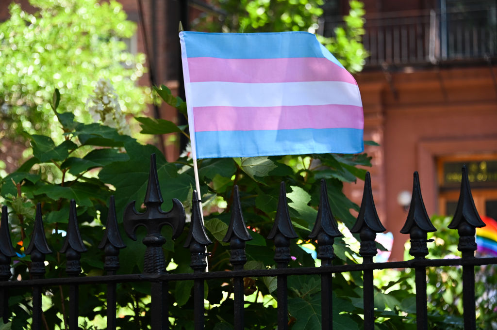 The transgender flag is seen during the New York City Pride Parade on June 26, 2022 in New York City. (Noam Galai—Getty Images)