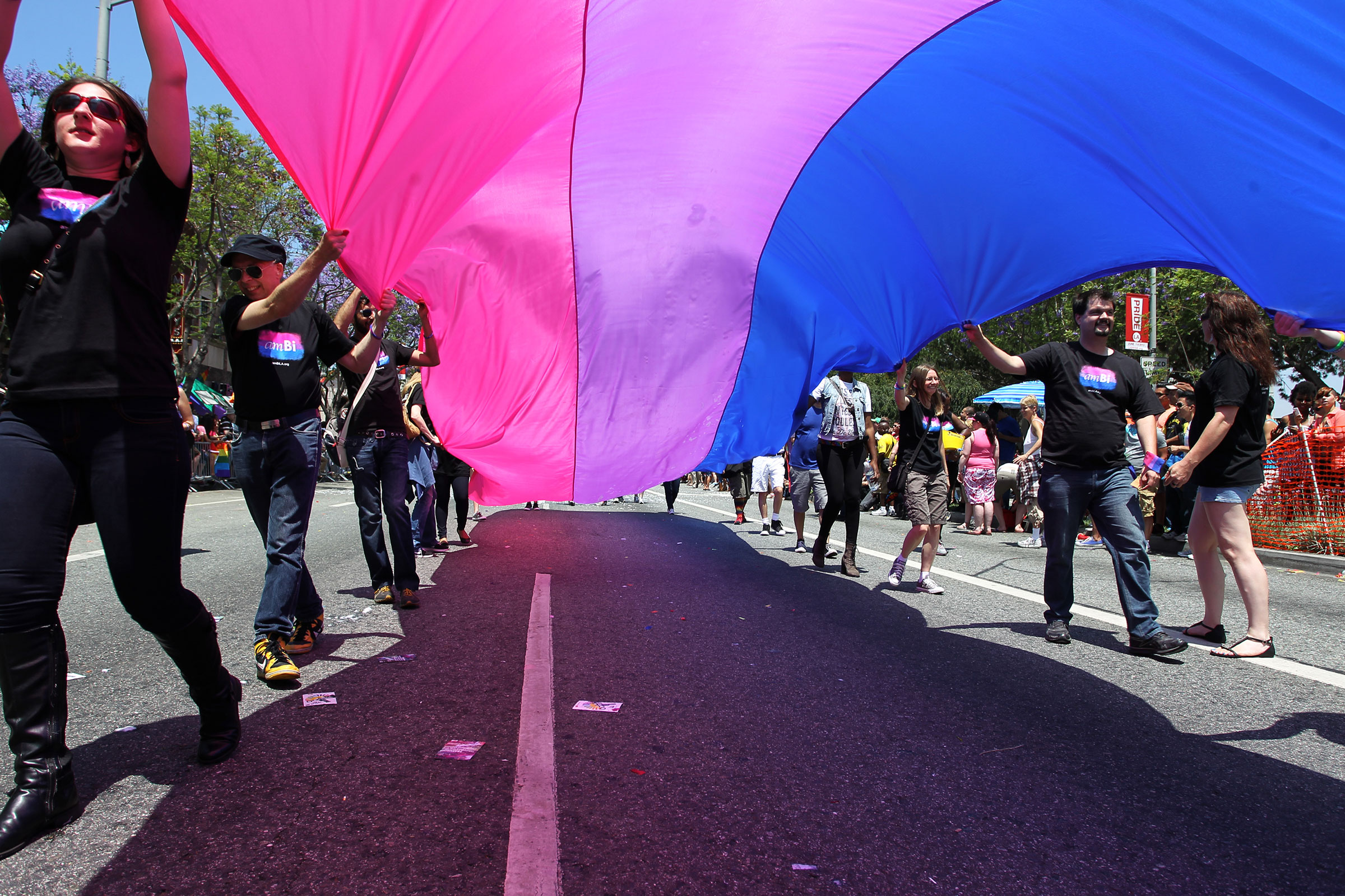 People marching with anBi, a bisexual organization, carry a bisexual flag in the 43rd Los Angeles Pride Parade on June 9, 2013. (David McNew—Getty Images)