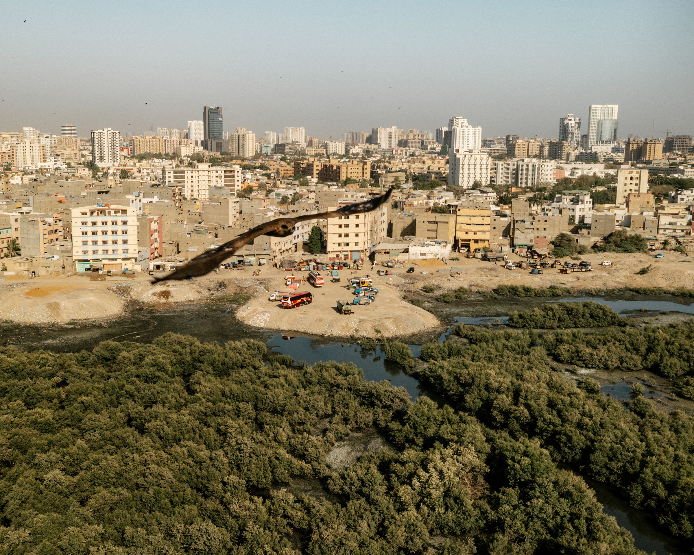 In Karachi, development is encroaching on mangroves, which have long protected the city from the impacts of climate change (Matthieu Paley for TIME)