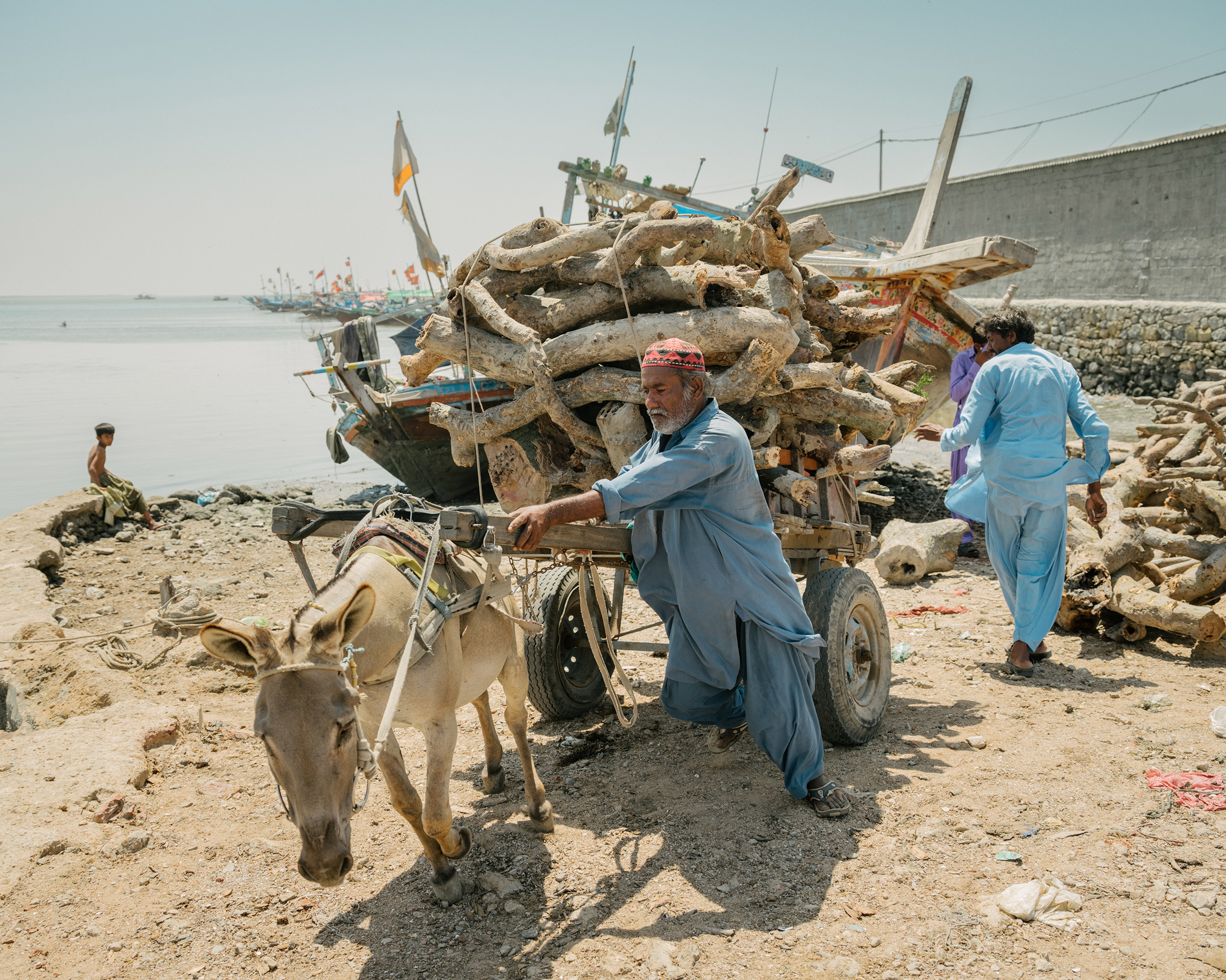 Mangrove wood, cut from Bundal Island, is loaded onto a donkey cart in Ibrahim Hyderi, on the outskirts of Karachi. The timber will likely be sold for use as fuel or as construction materials in poor areas of the city (Matthieu Paley for TIME)