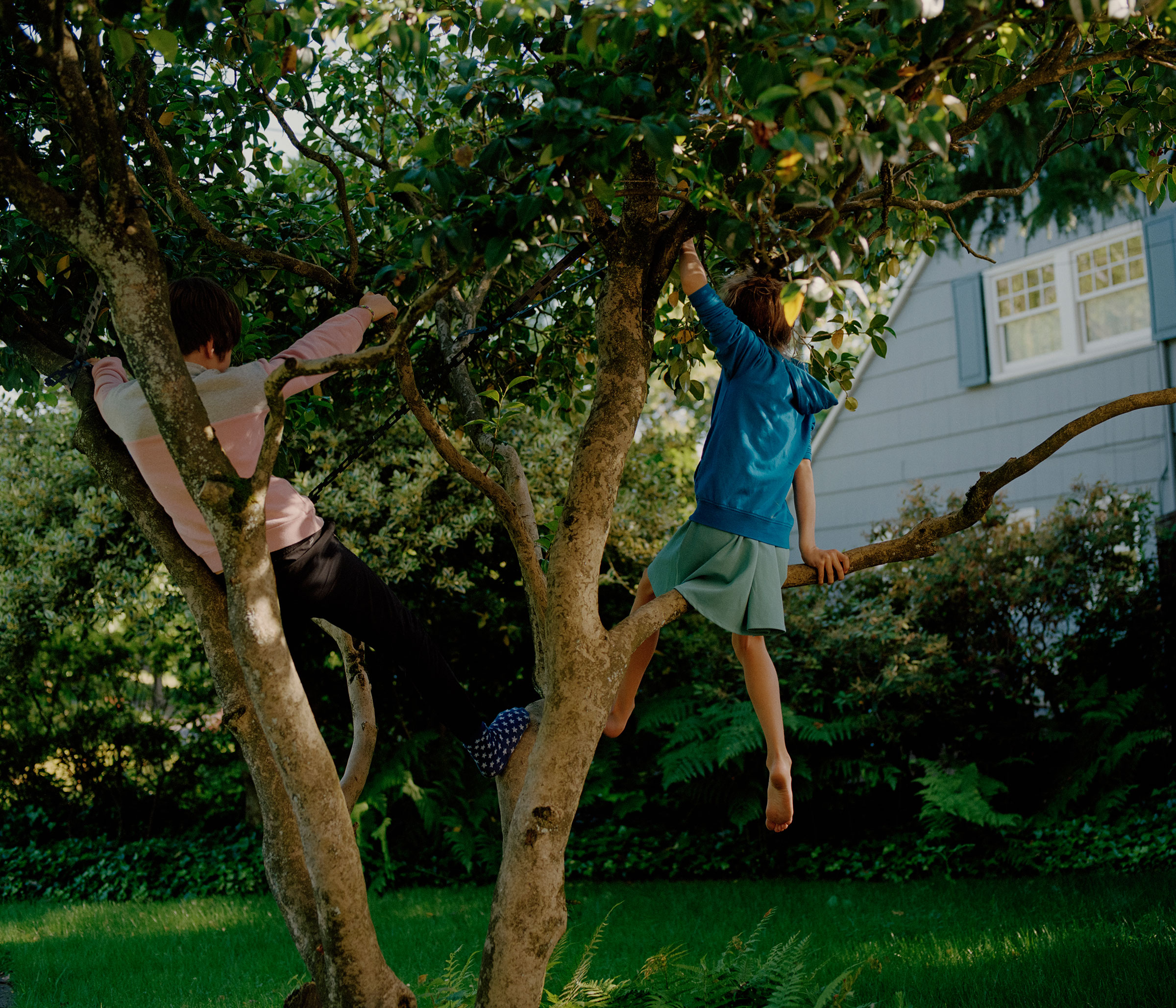 Jessie and her brother Lucas hang in a tree near their new home. (Ricardo Nagaoka for TIME)