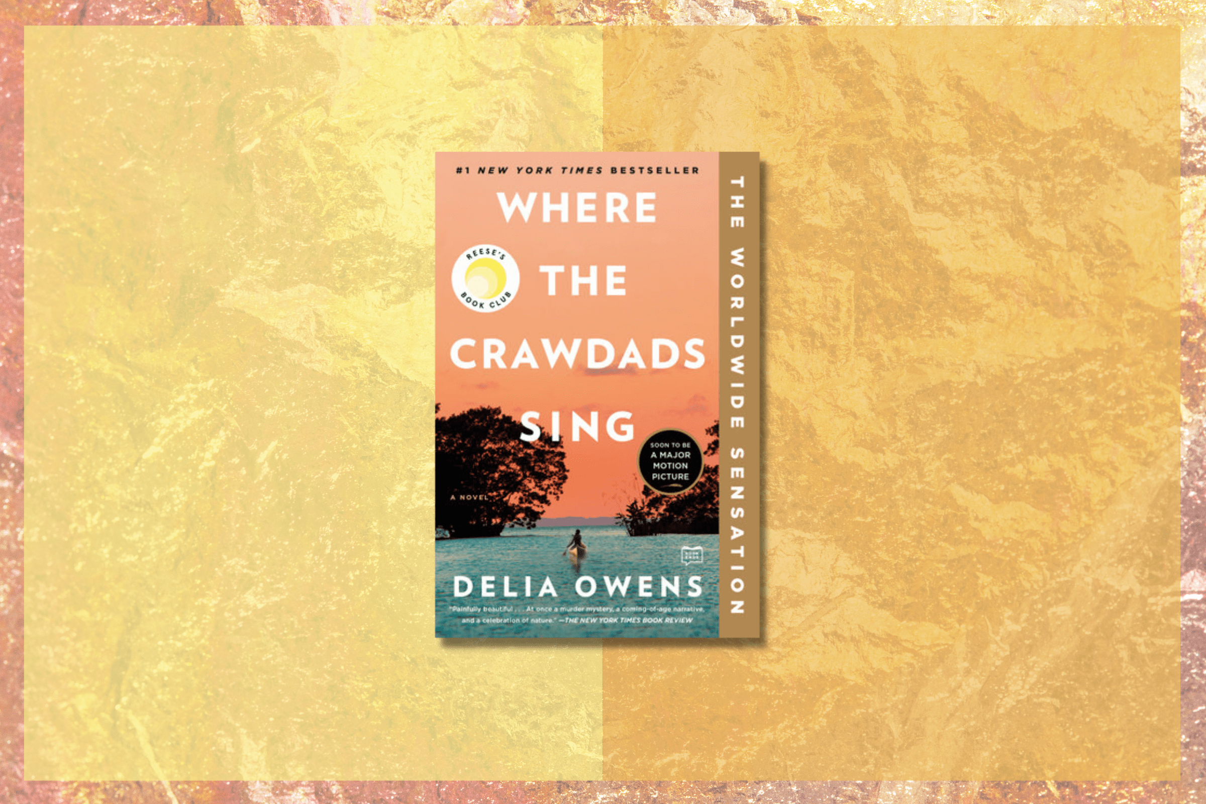 Where the Crawdads Sing book jacket