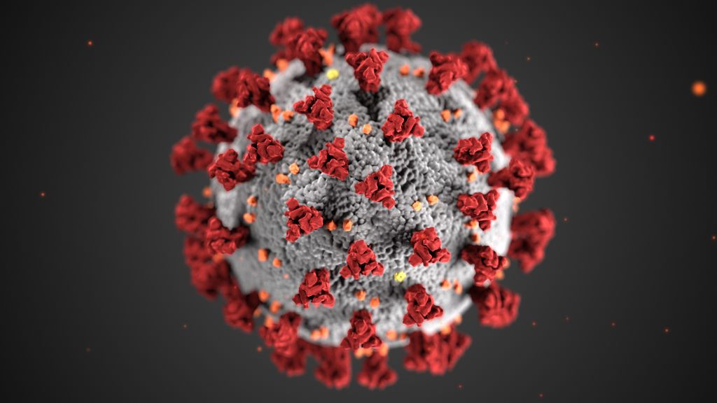 An illustration of SARS-CoV-2 created at the U.S. Centers for Disease Control and Prevention. (CDC/Alissa Eckert, MSMI, Dan Higgins, MAMS/Smith Collection/Gado/Getty Images)