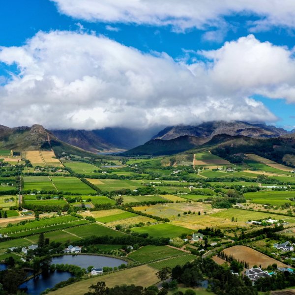 Vineyards and farms in the Franschhoek Valley, South Africa.