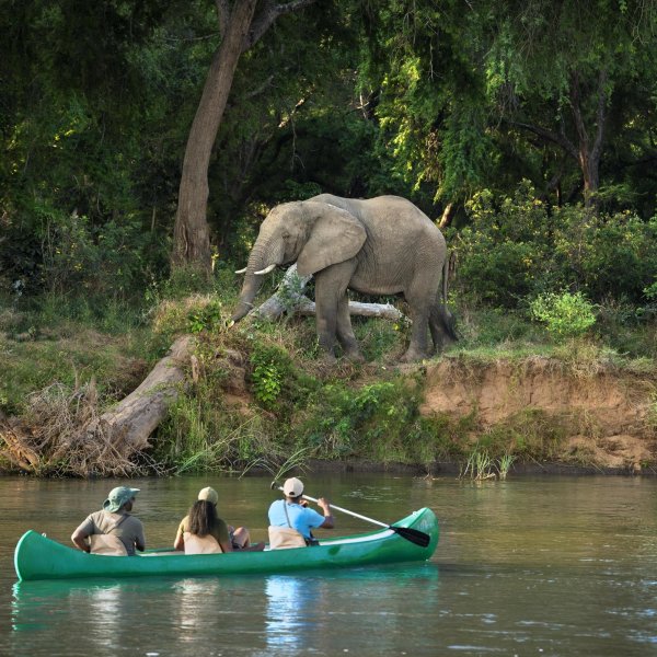 Canoeing at the Lolebezi Safari Lodge in Lower Zambezi National Park, Zambia.
