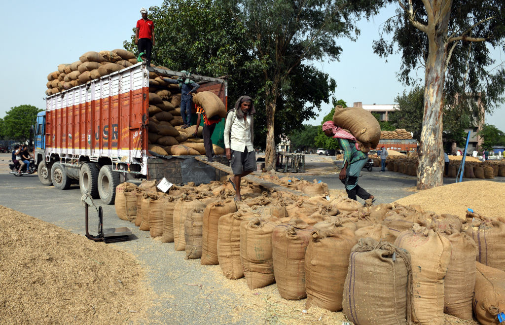 Workers load wheat from a trailer at a wholesale grain market on May 19, 2022 in New Delhi, India. (Sonu Mehta/Hindustan Times via Getty Images)