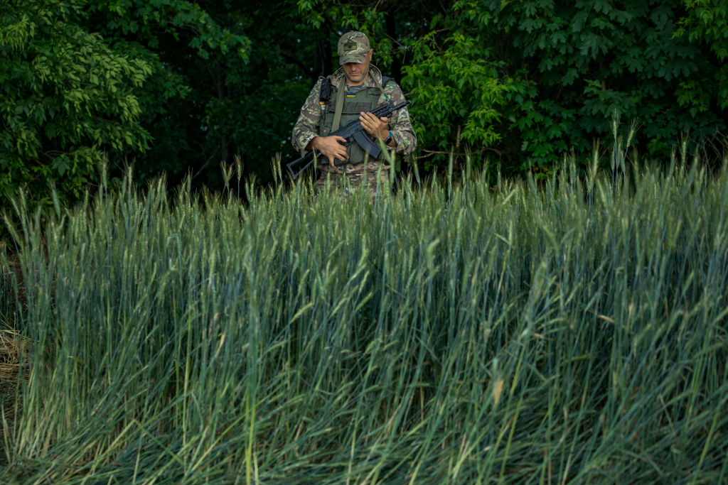 An Ukrainian soldier in his pòsition surrounded with wheat plants near the frontlines of the Zaporizhzhia province, Ukraine. (Celestino Arce/NurPhoto via Getty Images)