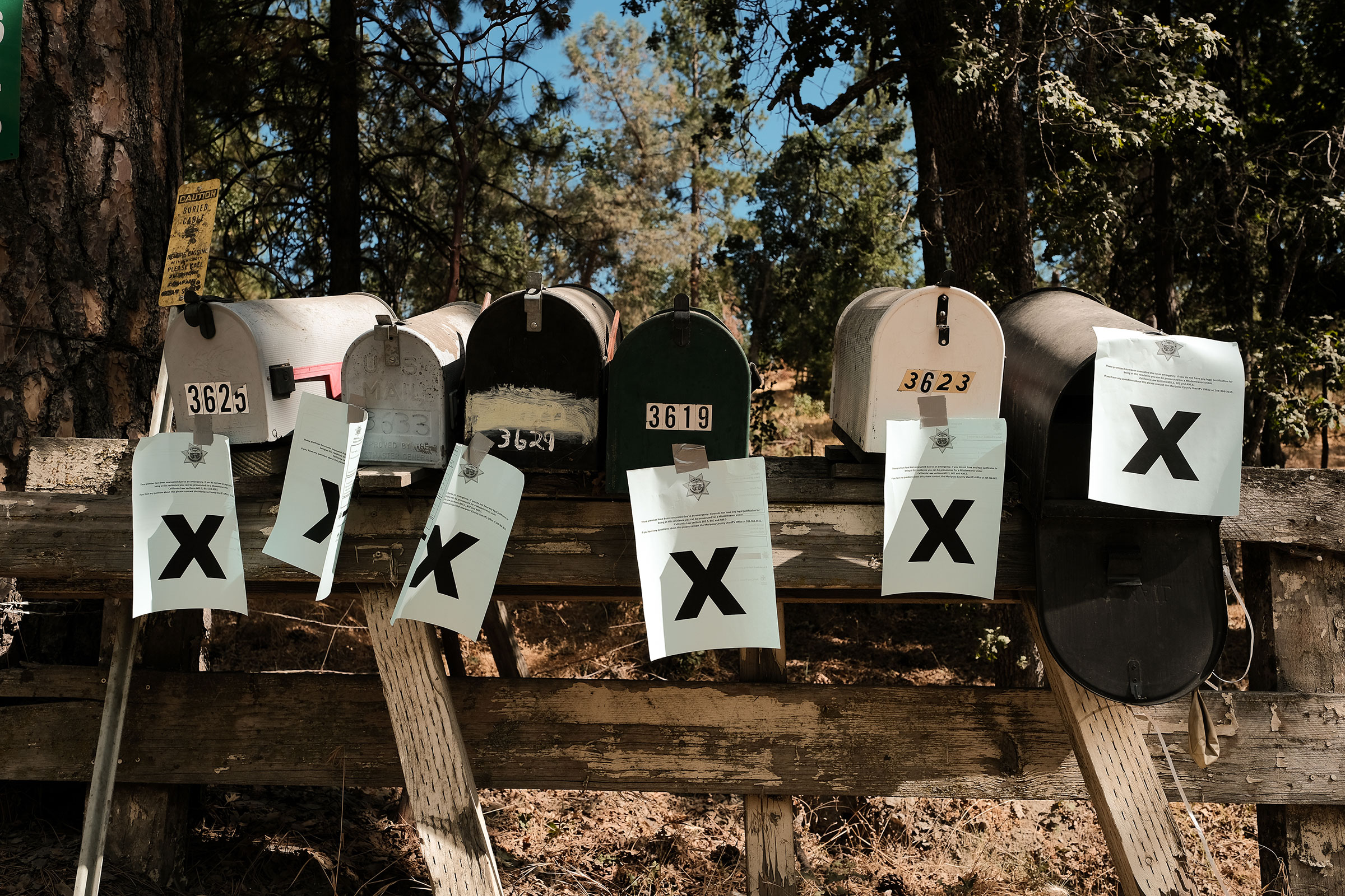 A row of mailboxes tagged with evacuation notices sit along Triangle road during the Oak Fire in Mariposa, on July 23. (David Odisho—Bloomberg/Getty Images)