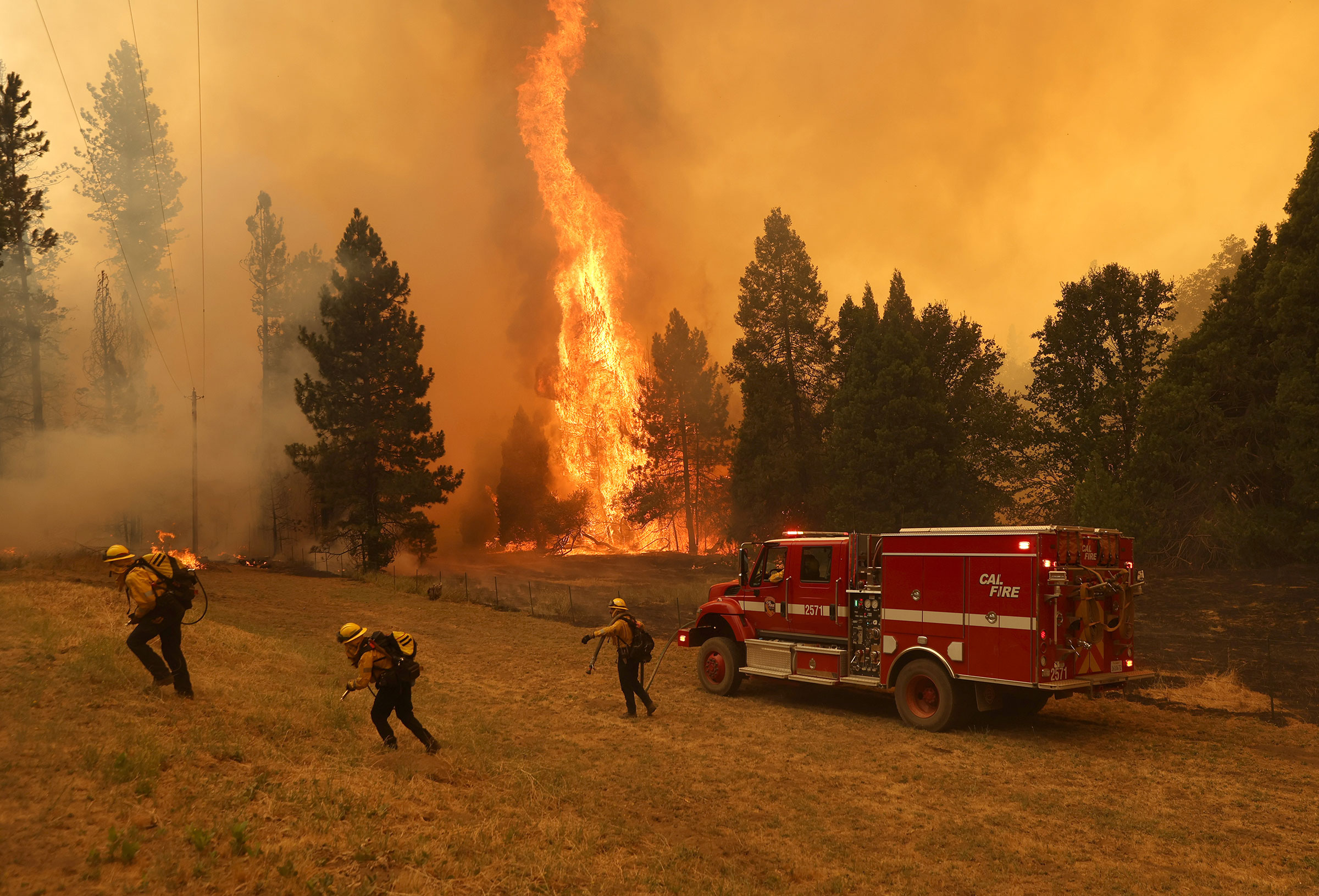 Firefighters battle the Oak Fire near Mariposa, Calif., on July 23. The fast moving Oak Fire burning outside of Yosemite National Park has forced evacuations, charred over 11,500 acres and destroyed several homes. (Justin Sullivan—Getty Images)