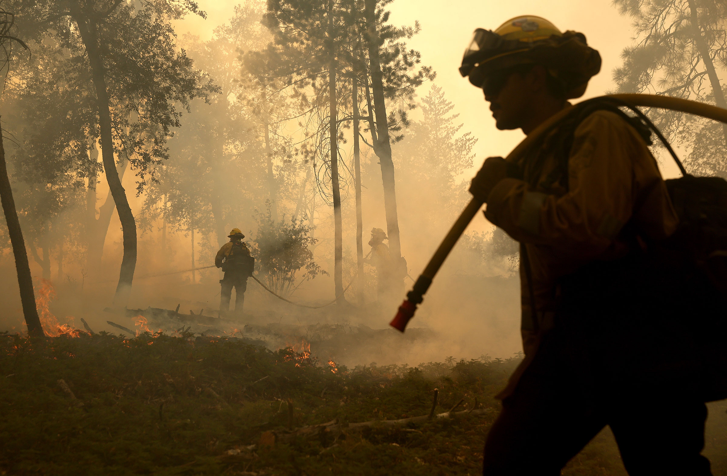 CAL FIRE firefighters monitor a burn operation as they battle the Oak Fire near Jerseydale, Calif., on July 24. (Justin Sullivan—Getty Images)