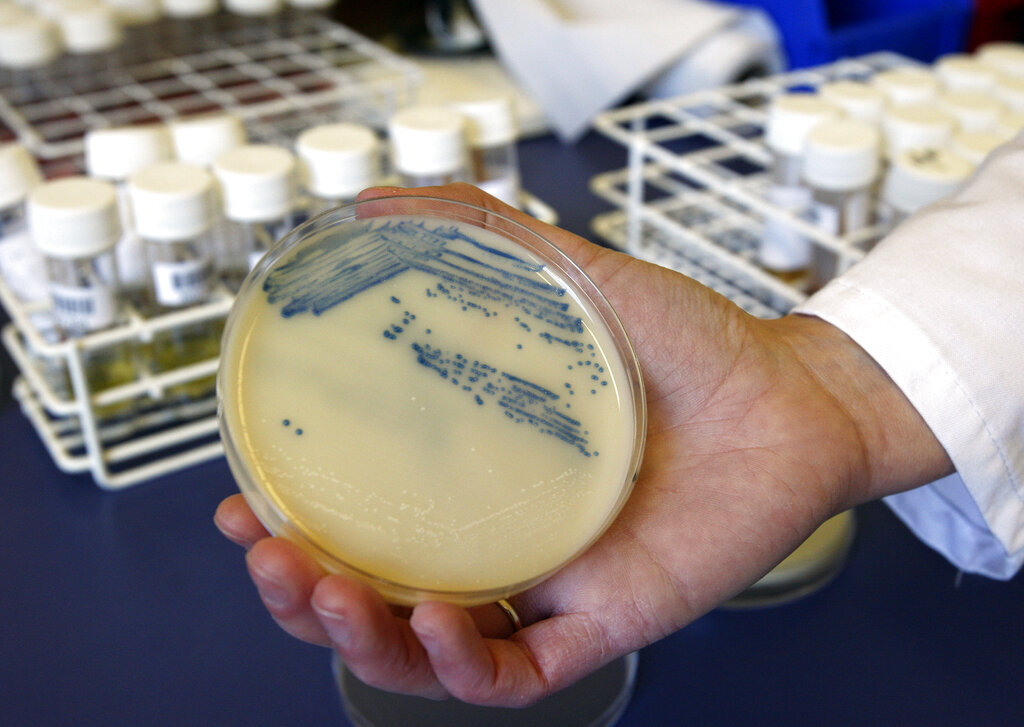 Superbug Infections, Deaths Rose At Beginning of Pandemic