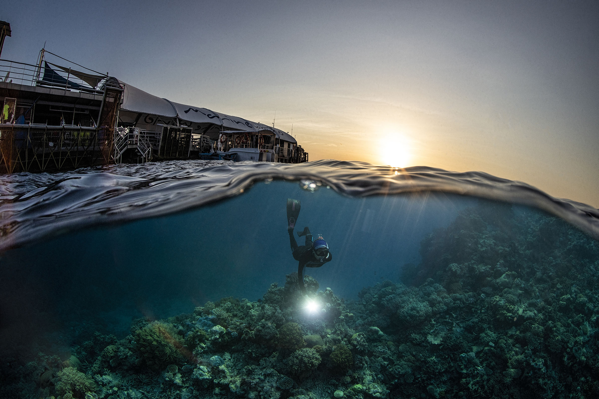 Scientist Katie Chartrand dives at Moore Reef as part of the Great Reef Census along the Great Barrier Reef, Australia. (Christian Miller—Courtesy Citizens of the Great Barrier Reef)