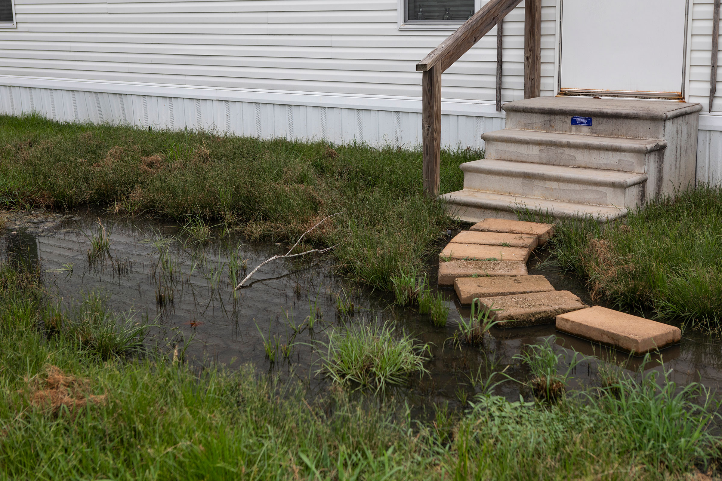 Sewage fills the front yard of a home in Lowndes County, Ala. on Aug. 1, 2022. (Charity Rachelle for TIME)