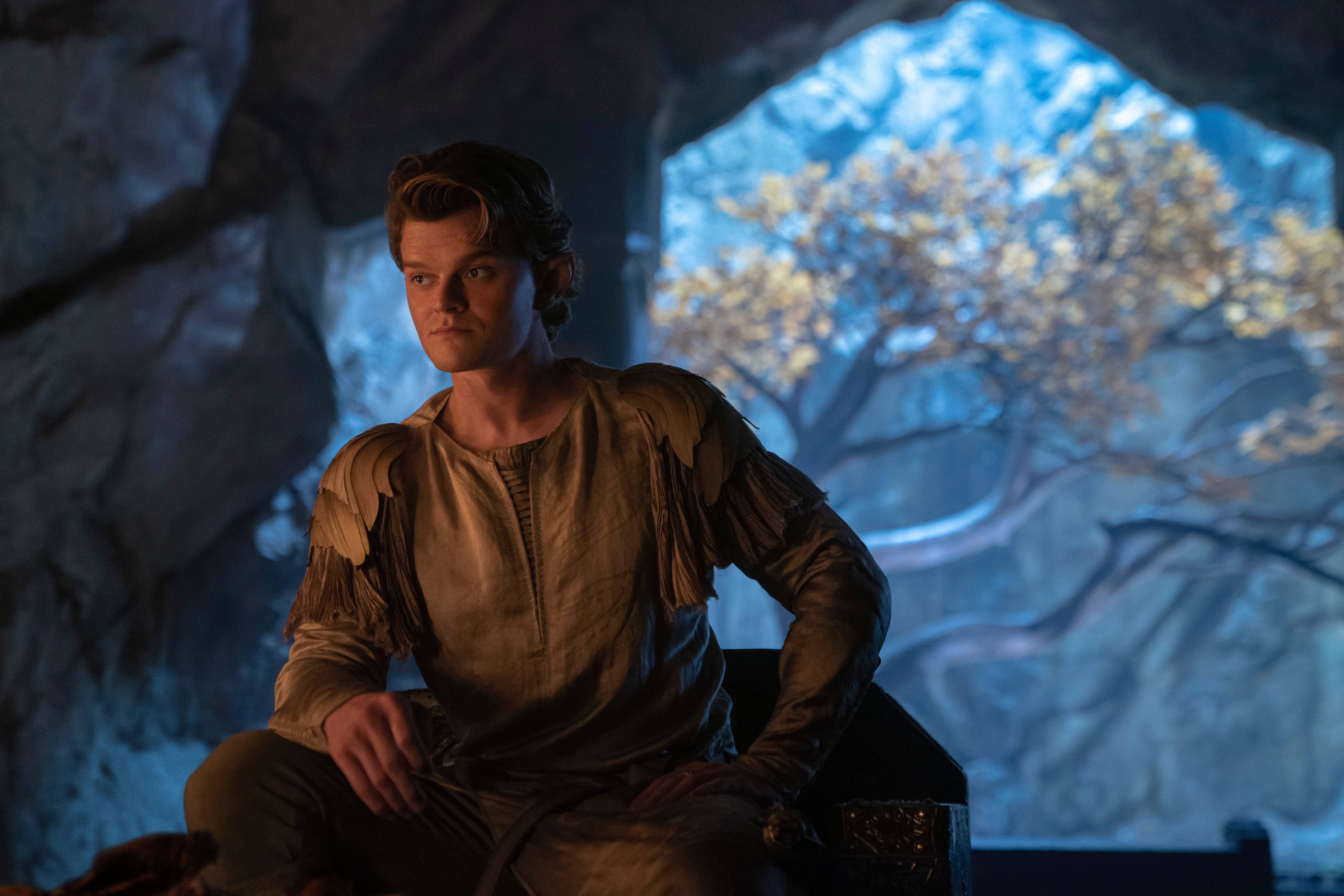 Robert Aramayo as Elrond in <i>The Rings of Power</i> (Ben Rothstein—Prime Video)