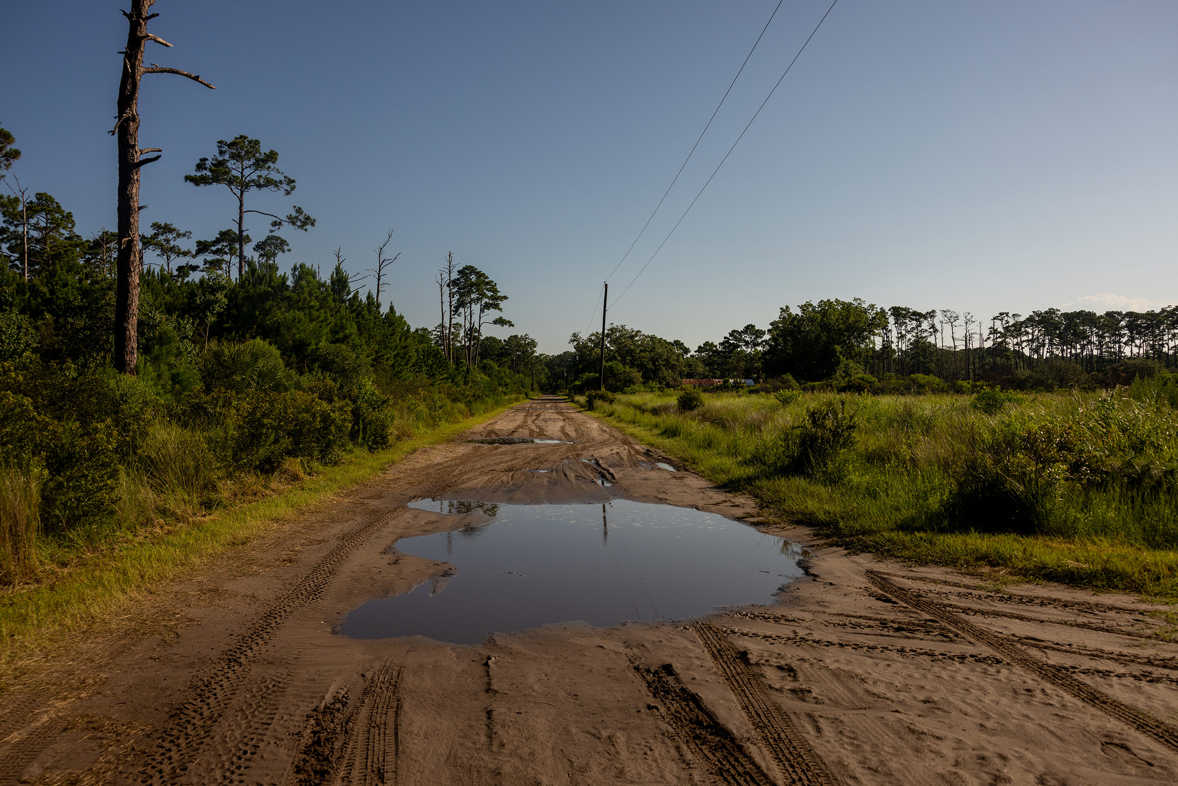 Dirt roads filled with water are spread around Sapelo Island, Ga. (Lynsey Weatherspoon for TIME)