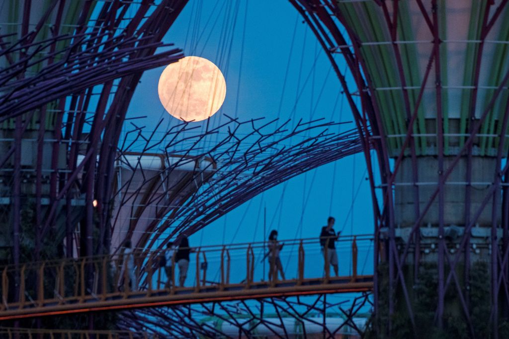 The moon rises in the sky during Mid-Autumn Festival at Gardens by the Bay in Singapore, Oct. 1, 2020. (Xinhua/Then Chih Wey via Getty Images)