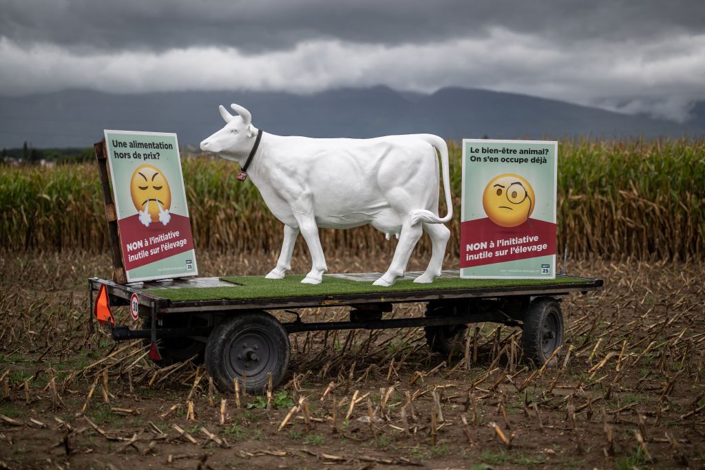 A plastic cow statue sits on a trailer near Collex-Bossy, with placards reading in French 