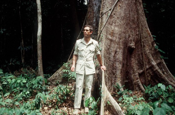 Charles Rainforest Cameroon