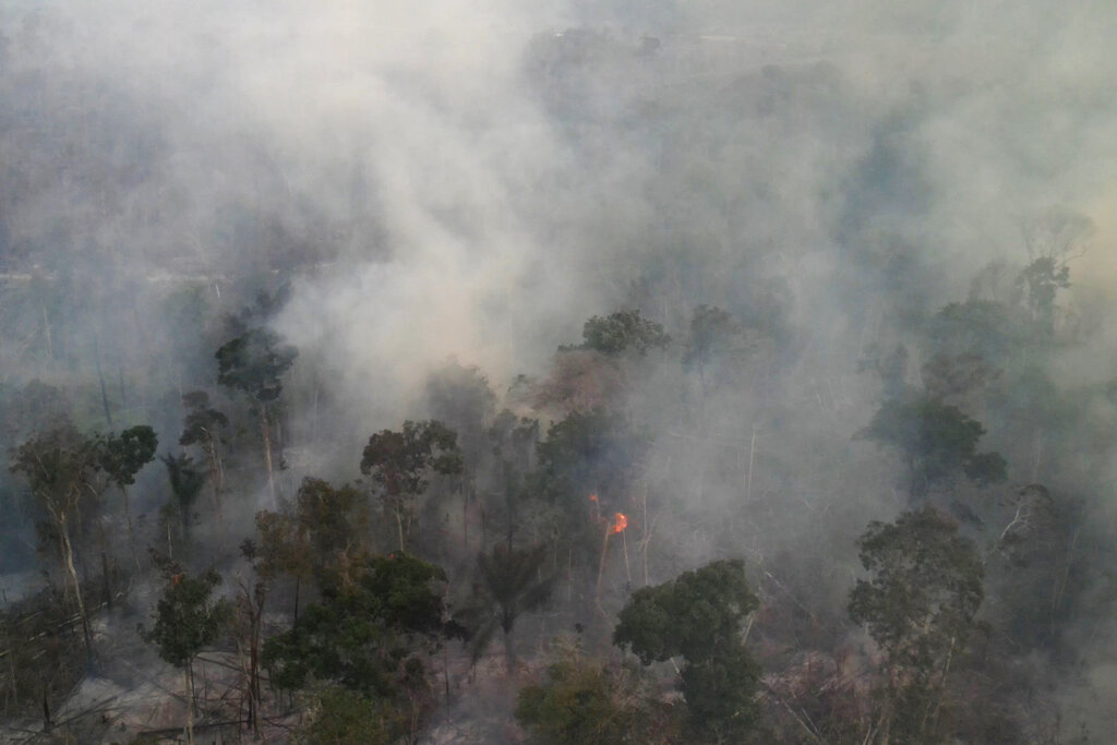 Illegal Deforestation in Brazil Amazon Rainforest Pushes Number of Fires to Five-Year High