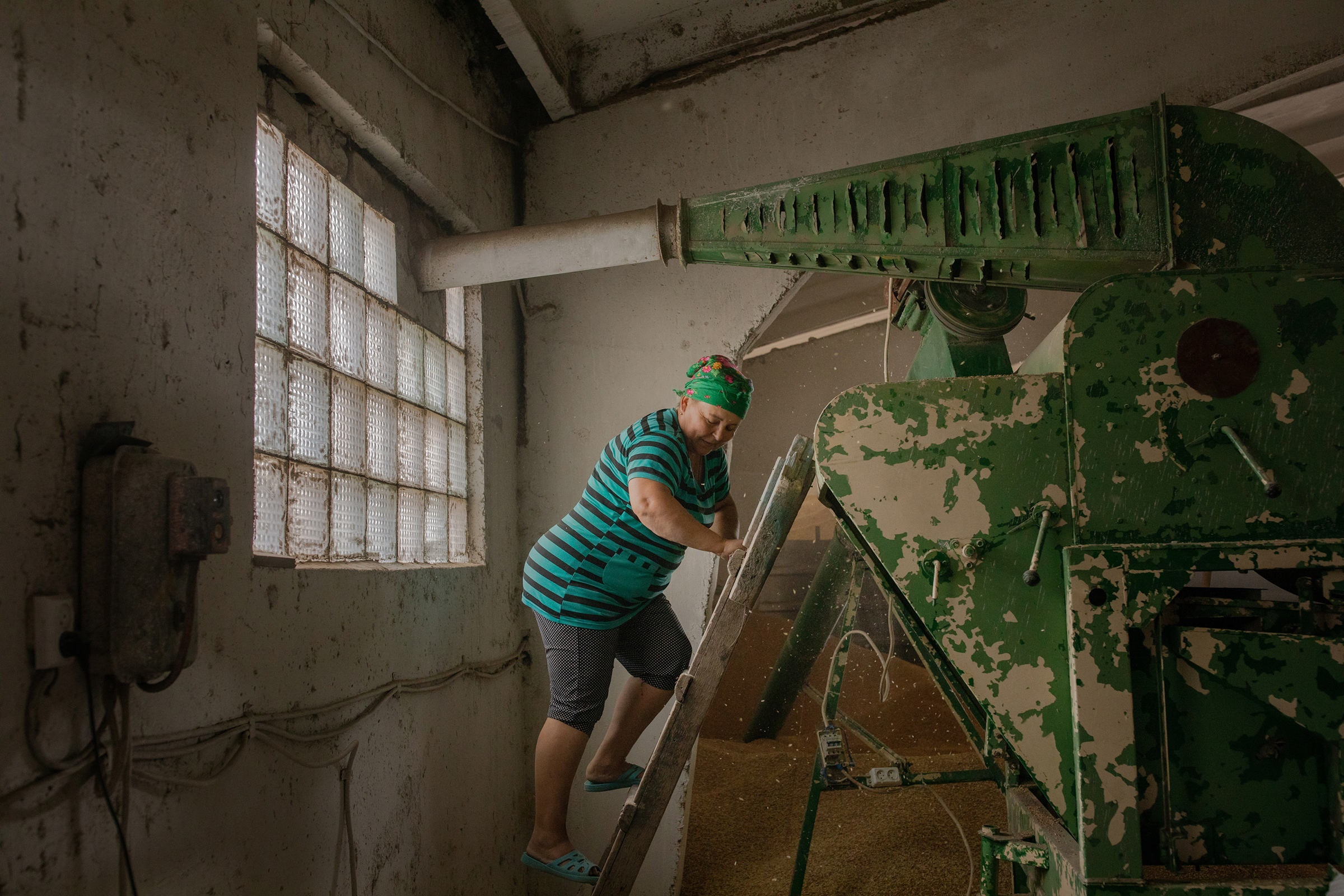One of Nadia’s employees works at a machine which cleans and separates grain in Mykolaiv on July 19. (Natalie Keyssar)