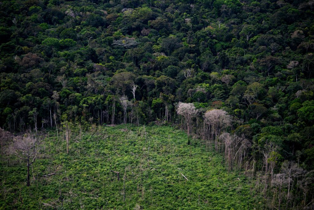 Aerial view showing a deforested area of the Amazon rainforest seen during a flight between Manaus and Manicore, in Amazonas State, Brazil, on June 6, 2022. (Mauro Pimentel—AFP / Getty Images)