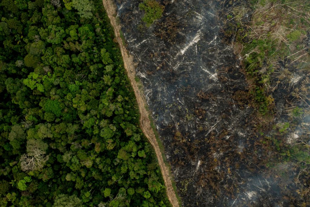 Aerial view of a burnt area of the Amazon rainforest near Porto Velho, Rondonia state, Brazil, on Sept. 15, 2021. The Amazon, the world's biggest rainforest, is known as the "lungs of the Earth." But it is now emitting more carbon than it absorbs. (MAURO PIMENTEL/AFP—Getty Images)
