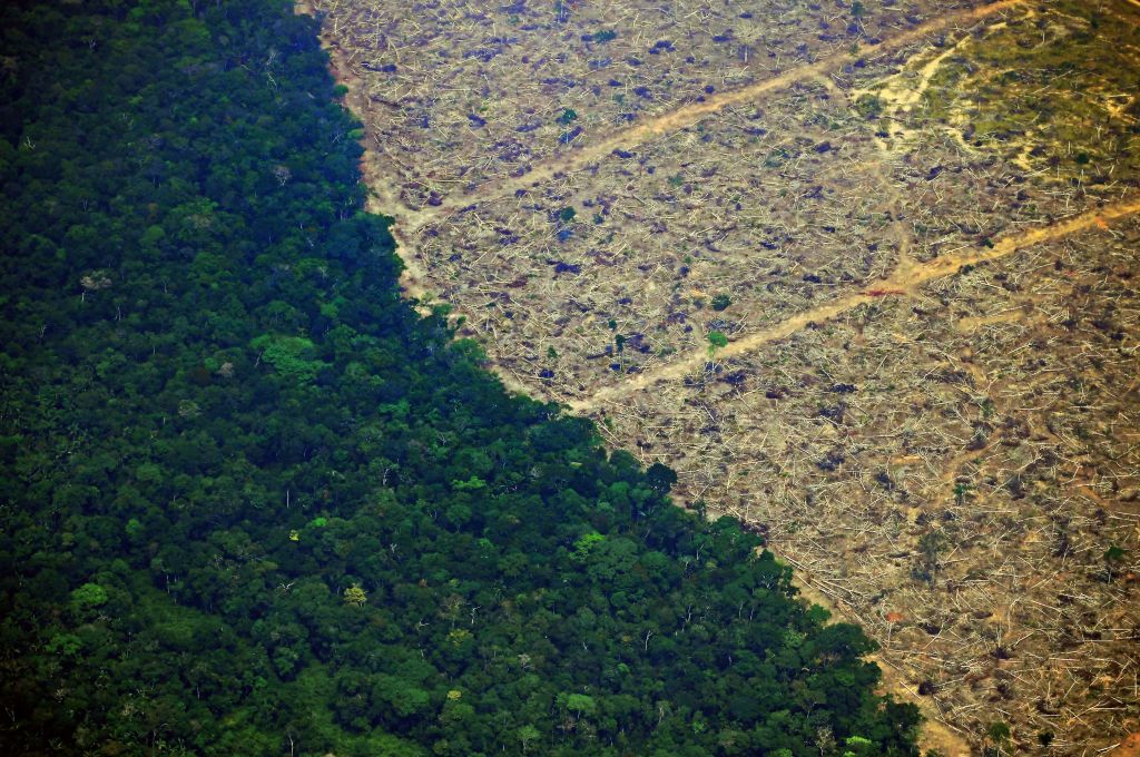 Amazon-deforestation-alliance