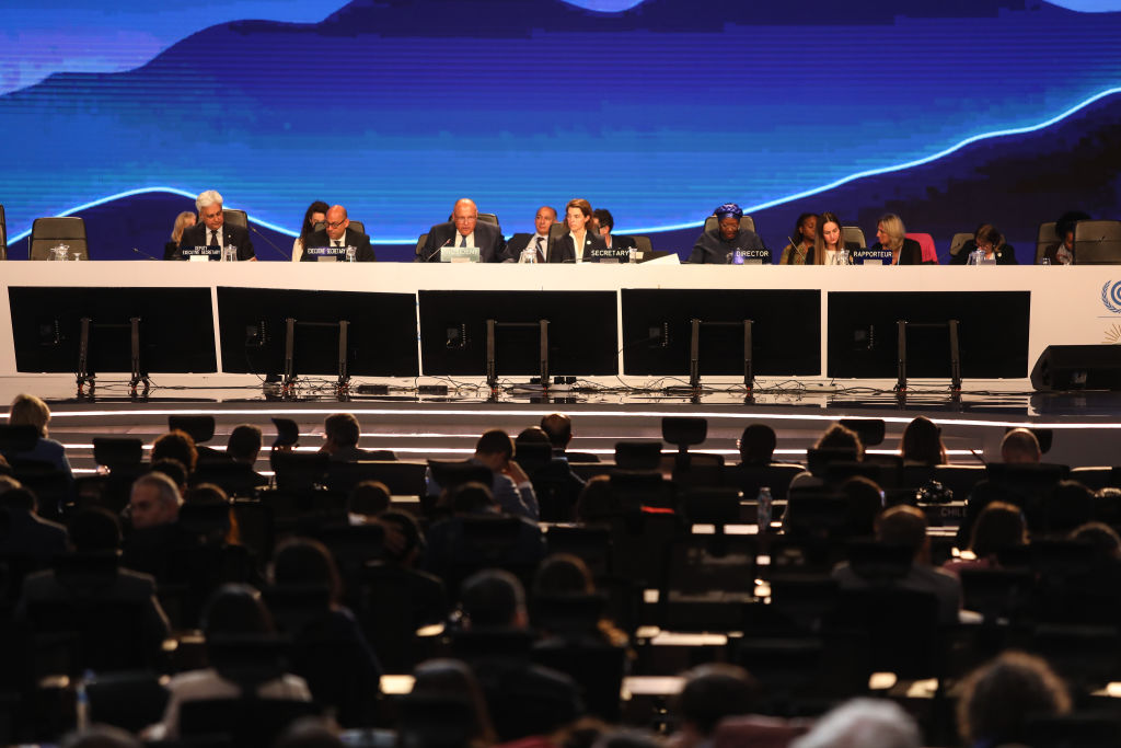 President and Egyptian Foreign Minister Sameh Shoukry (3rd L) speaks during the closing session of UN climate summit COP27 held in Sharm el-Sheikh, Egypt on November 20, 2022. (Mohamed Abdel Hamid—Anadolu Agency/Getty Images)