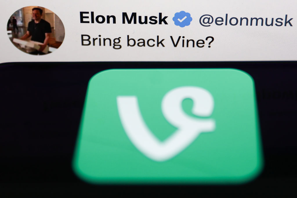 Vine logo displayed on a phone screen and Elon Musk's Twitter account are seen in this illustration photo taken in Krakow, Poland on October 31, 2022. (NurPhoto via Getty)