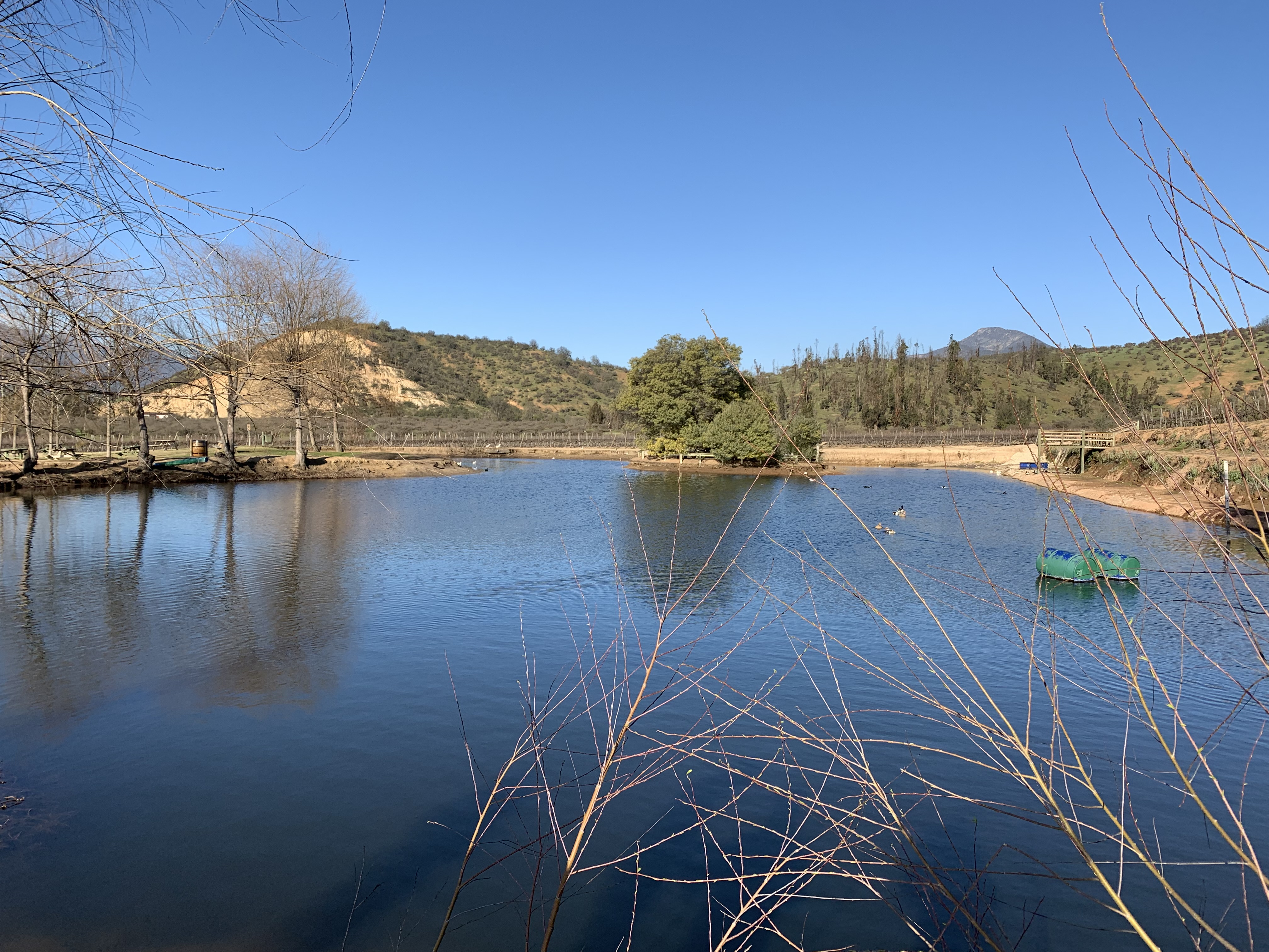 The reservoir at the Indómita vineyard, west of Santiago. (Ciara Nugent)