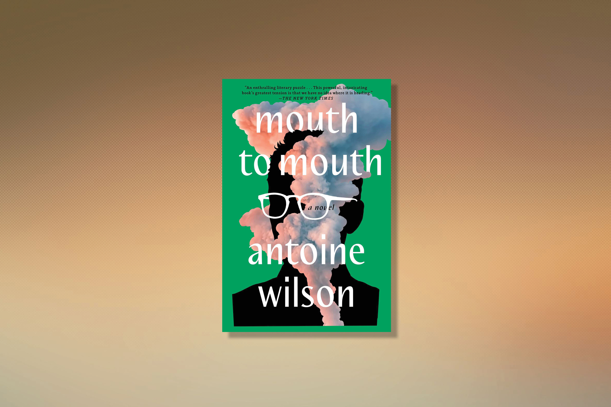 book review mouth to mouth