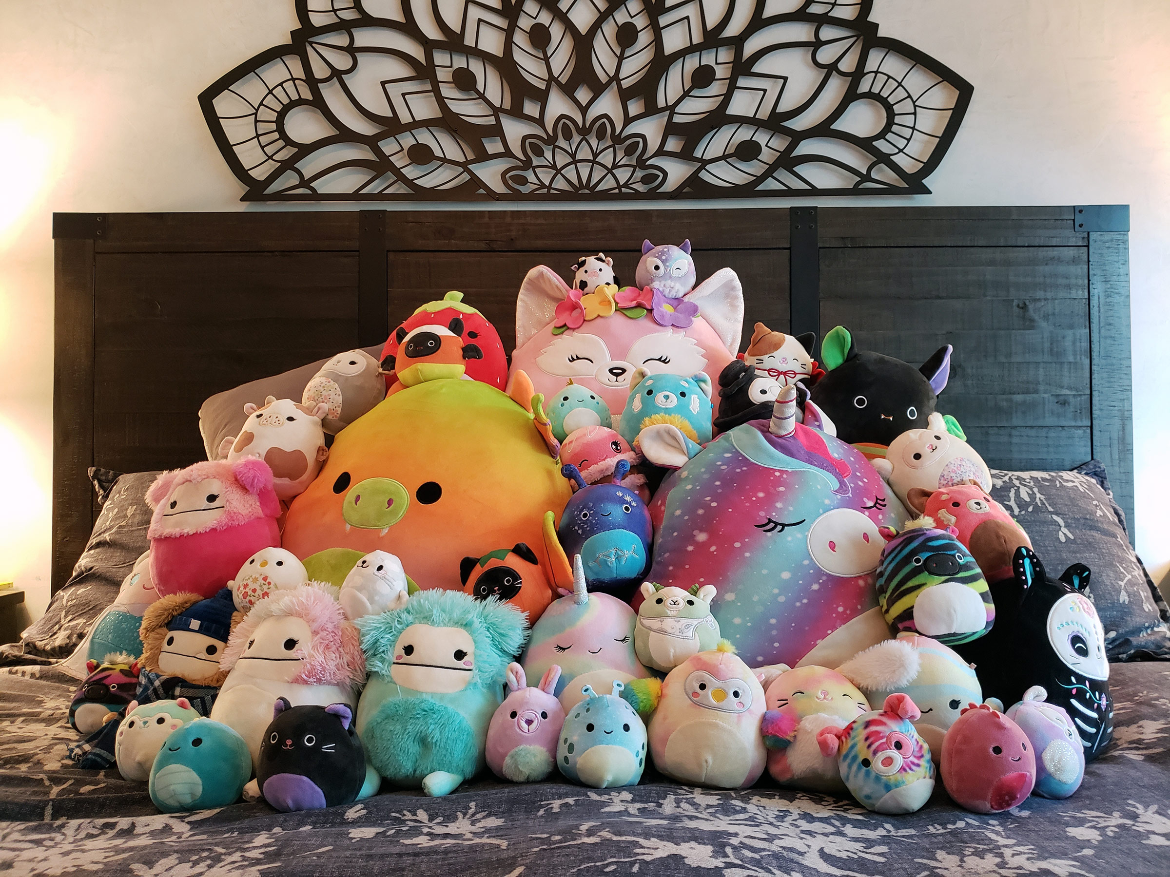 Catharine Parker's Squishmallow collection.