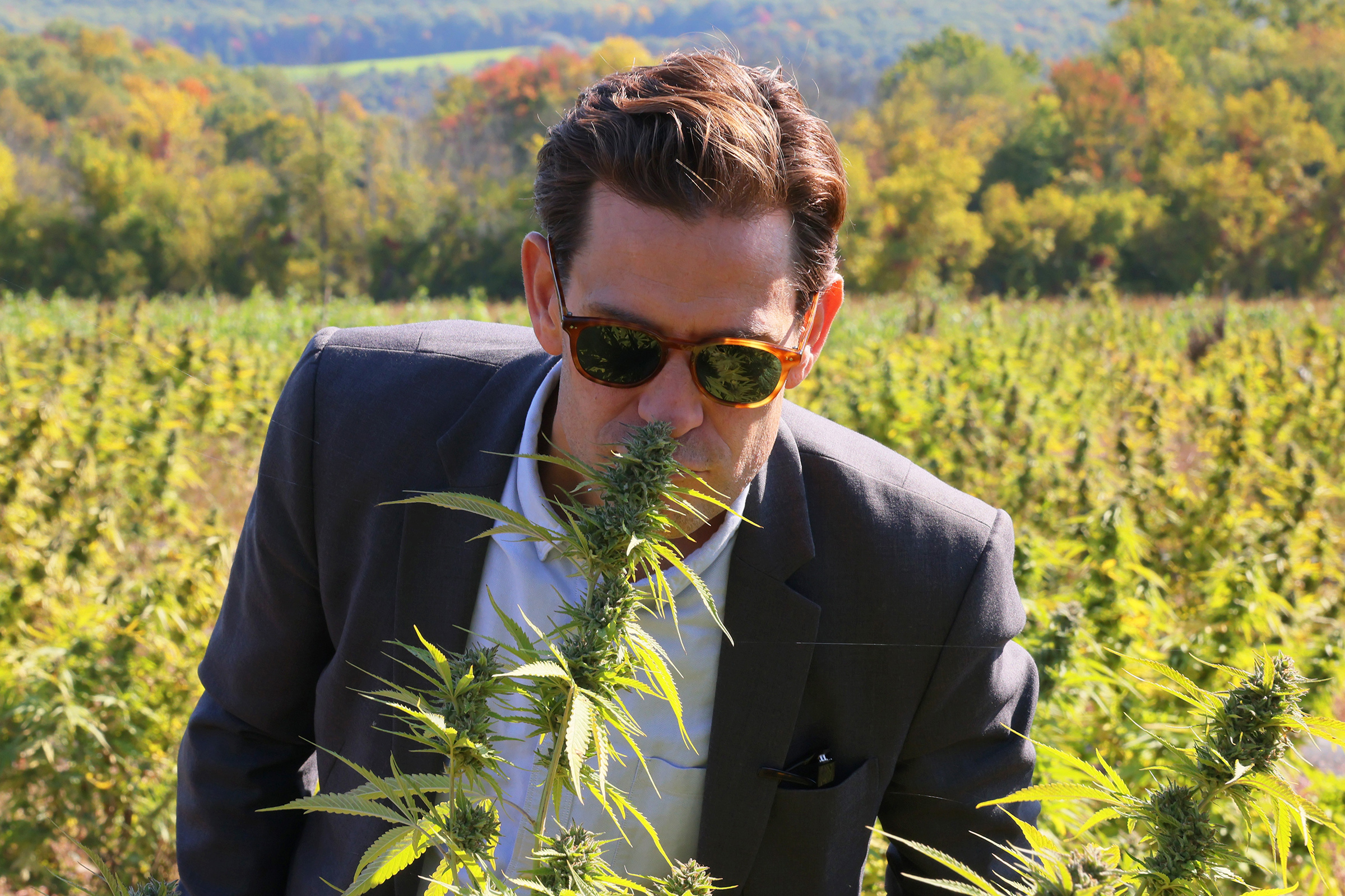 Axel Bernabe, Chief of Staff &amp; Senior Policy Director at NYS Office of Cannabis Management, smells a cannabis plant during a tour of Claudine Field Apothecary farm on Oct. 07 in Columbia County, New York. (Michael M. Santiago—Getty Images)