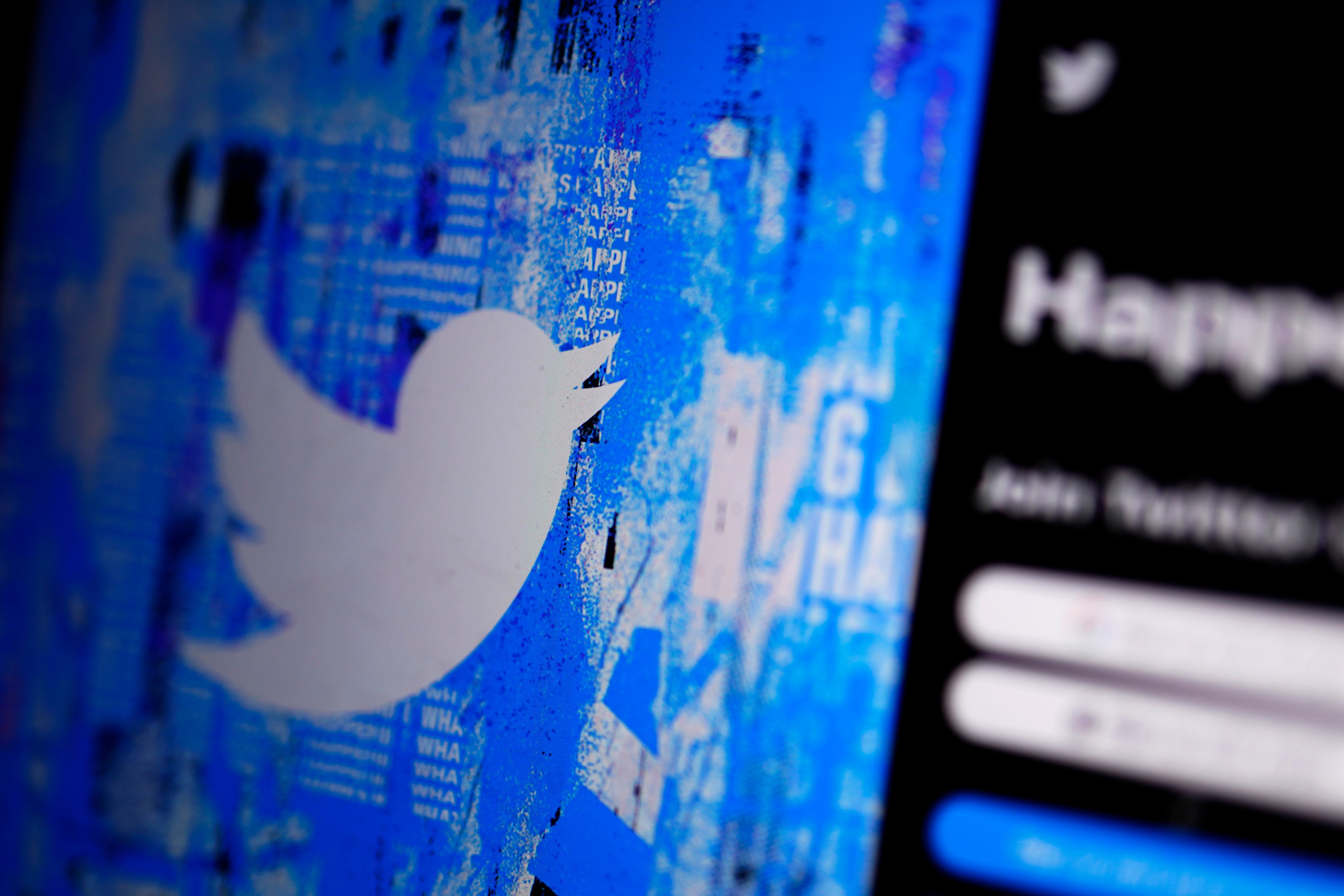 The Twitter splash page is seen on a digital device, Monday, April 25, 2022, in San Diego. (Gregory Bull/AP)