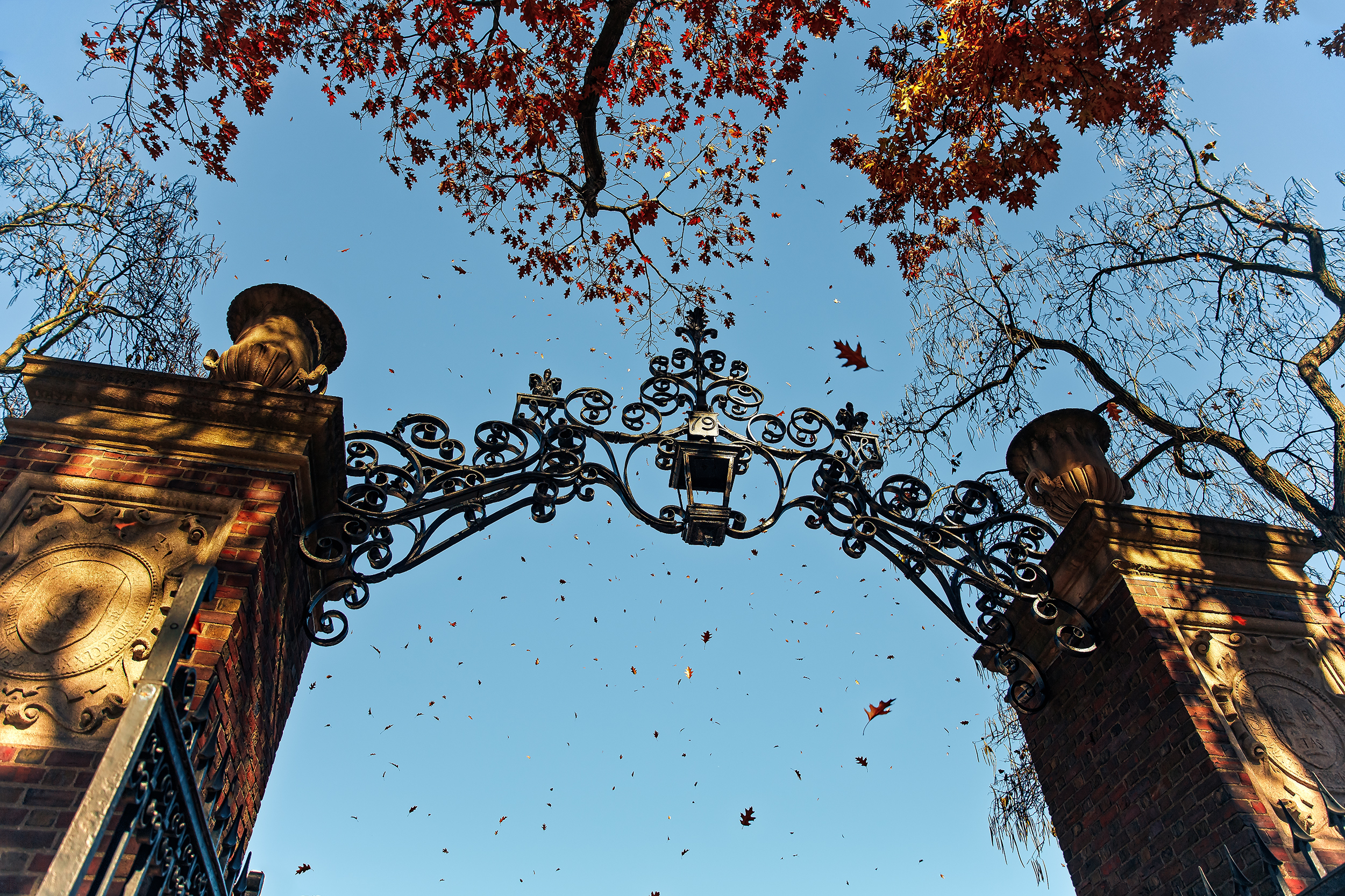 Harvard University's iron gate in Cambridge, Massachusetts, USA (Getty Images)