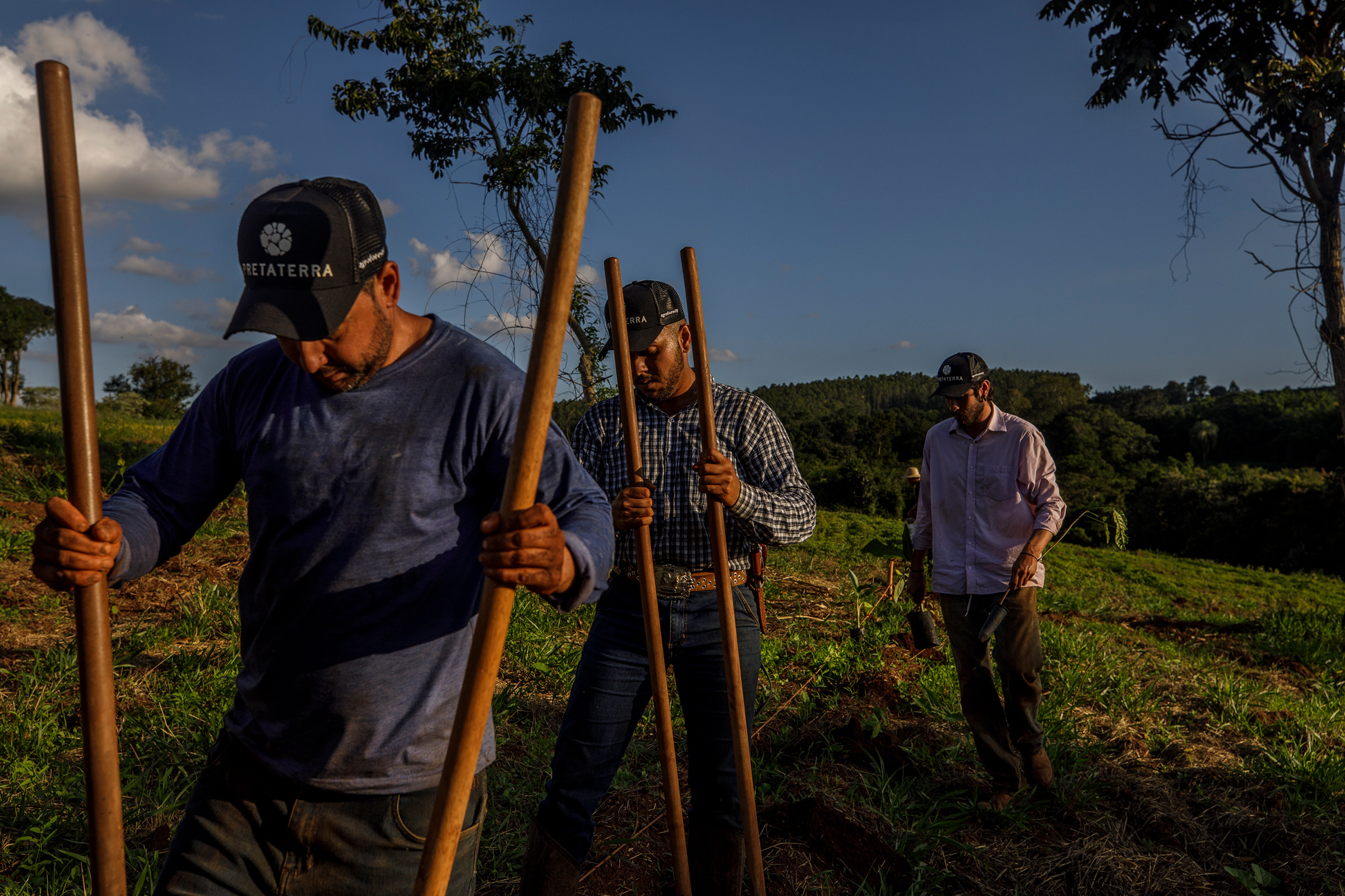 Workers plant tree seedlings to restore the soil at Preta Terra’s Timburi agroforestry project. (Victor Moriyama for TIME)