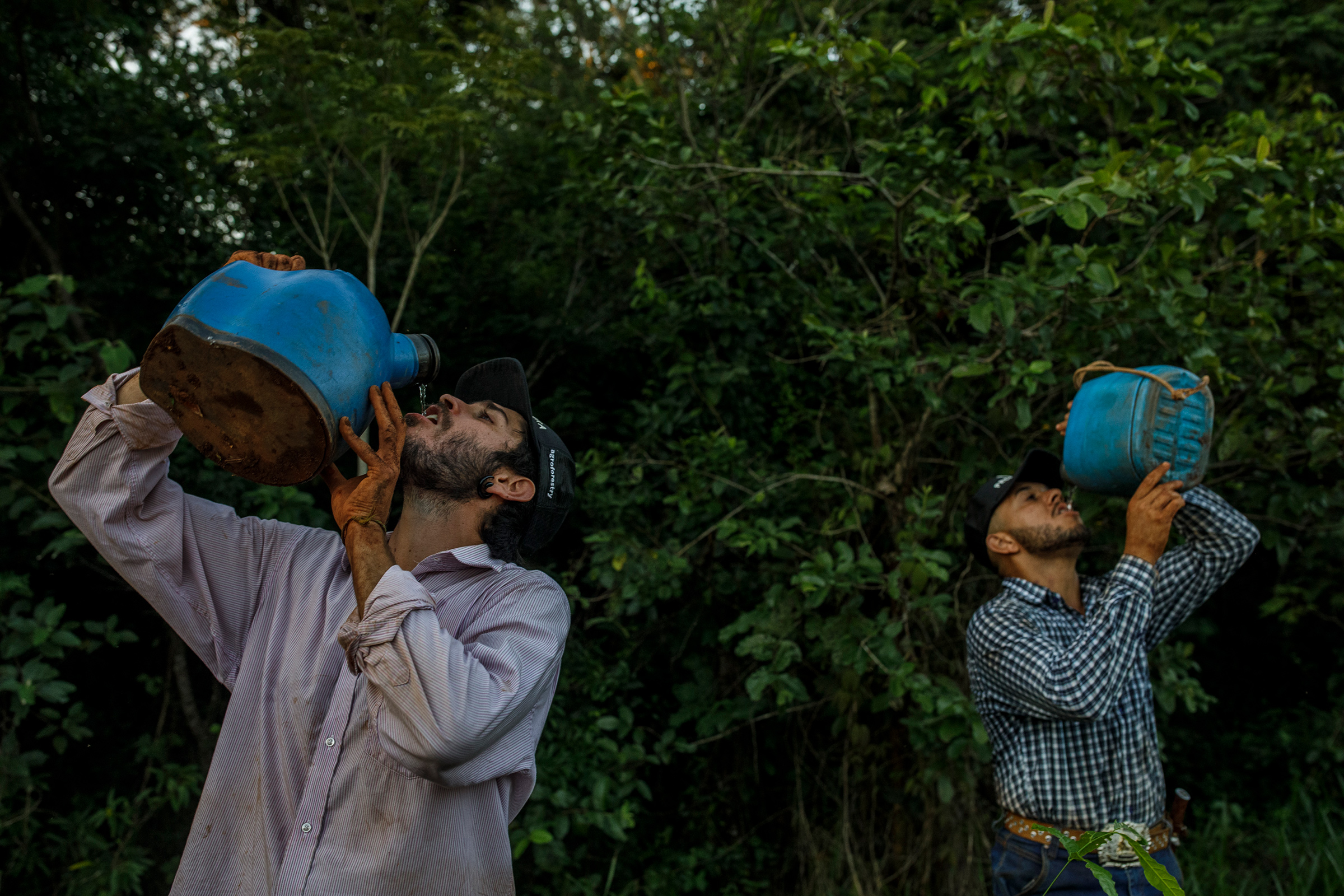 Workers drink water while planting tree seedlings in the Preta Terra project. (Victor Moriyama for TIME)